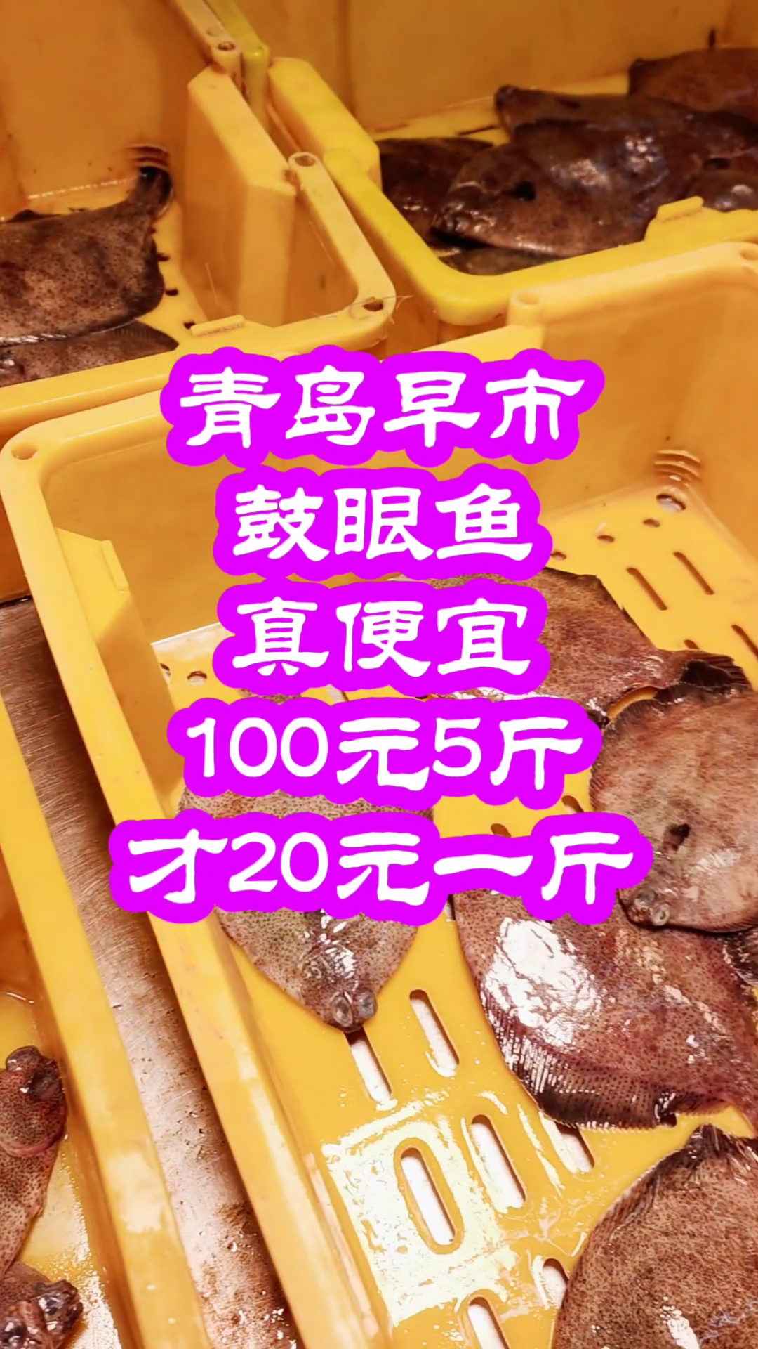 青岛早市，鼓眼鱼真便宜，100元5斤，才20元一斤