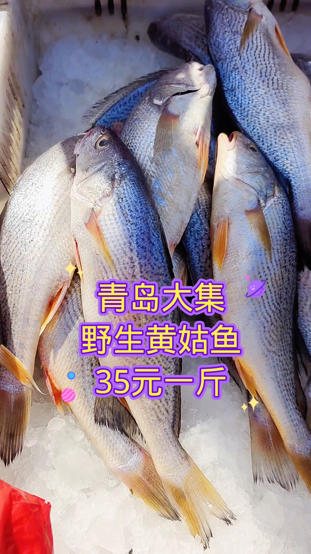 青岛汽车东站大集,纯野生黄姑鱼,35元一斤