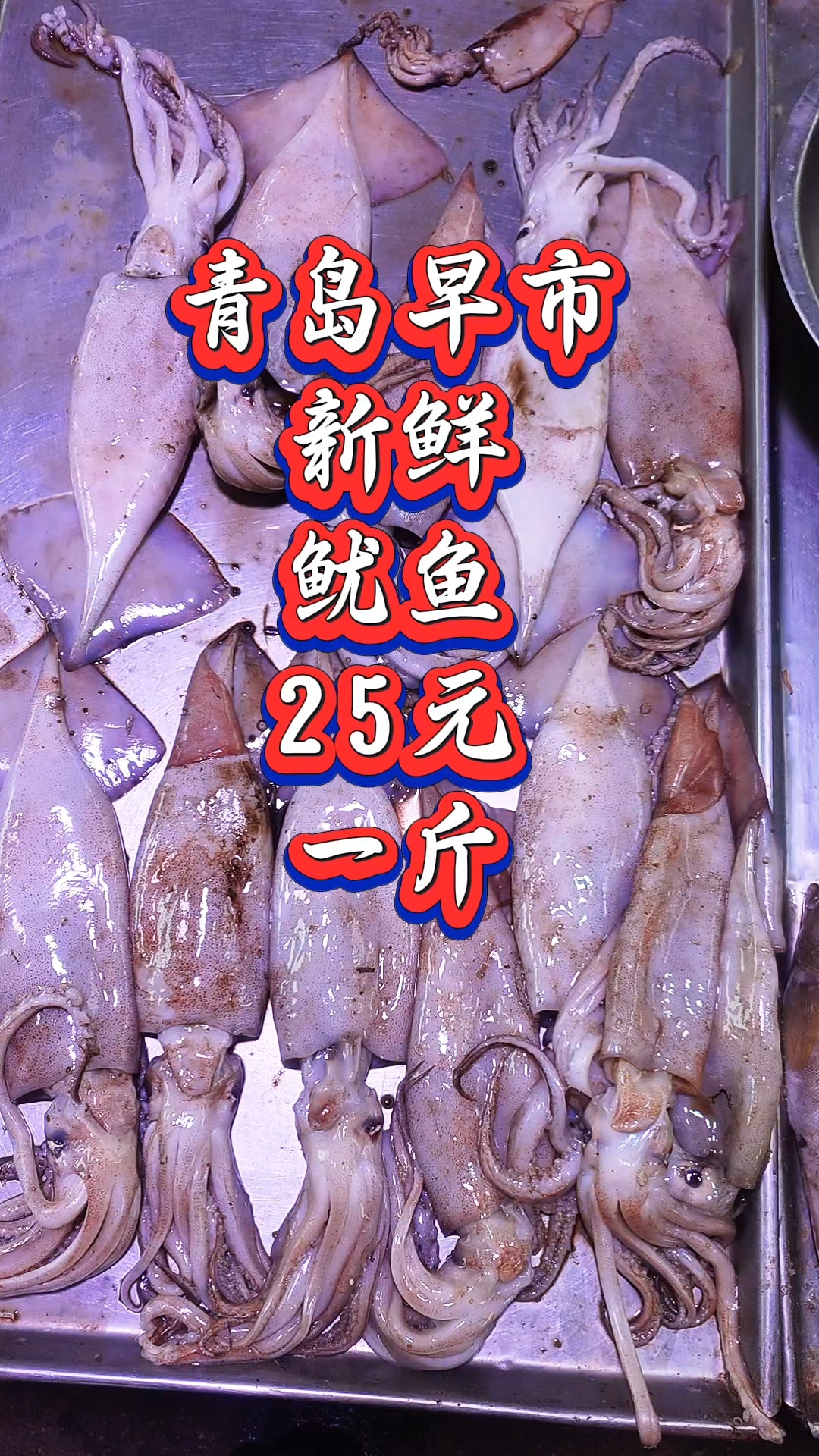 青岛早市,新鲜的鱿鱼,25元一斤,3条左右
