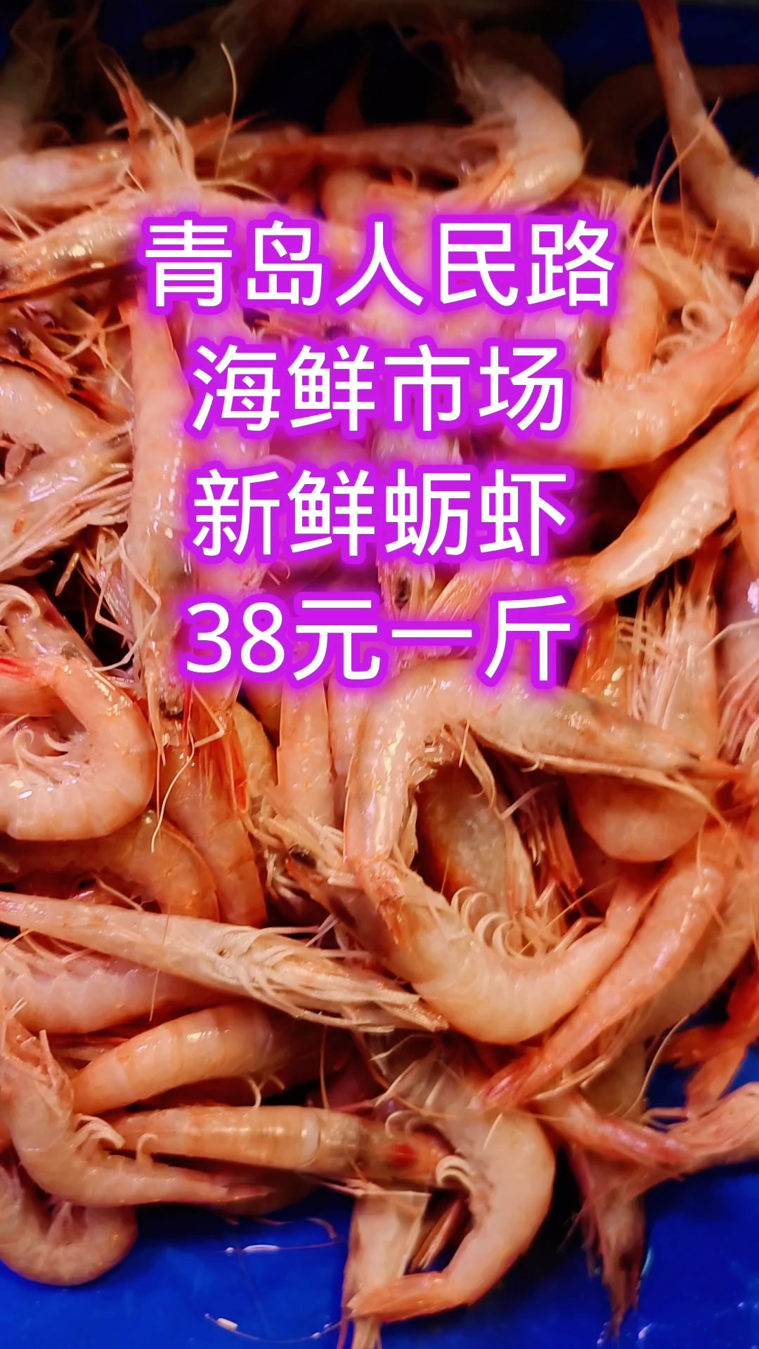 青岛人民路海鲜市场,新鲜的蛎虾,38元一斤
