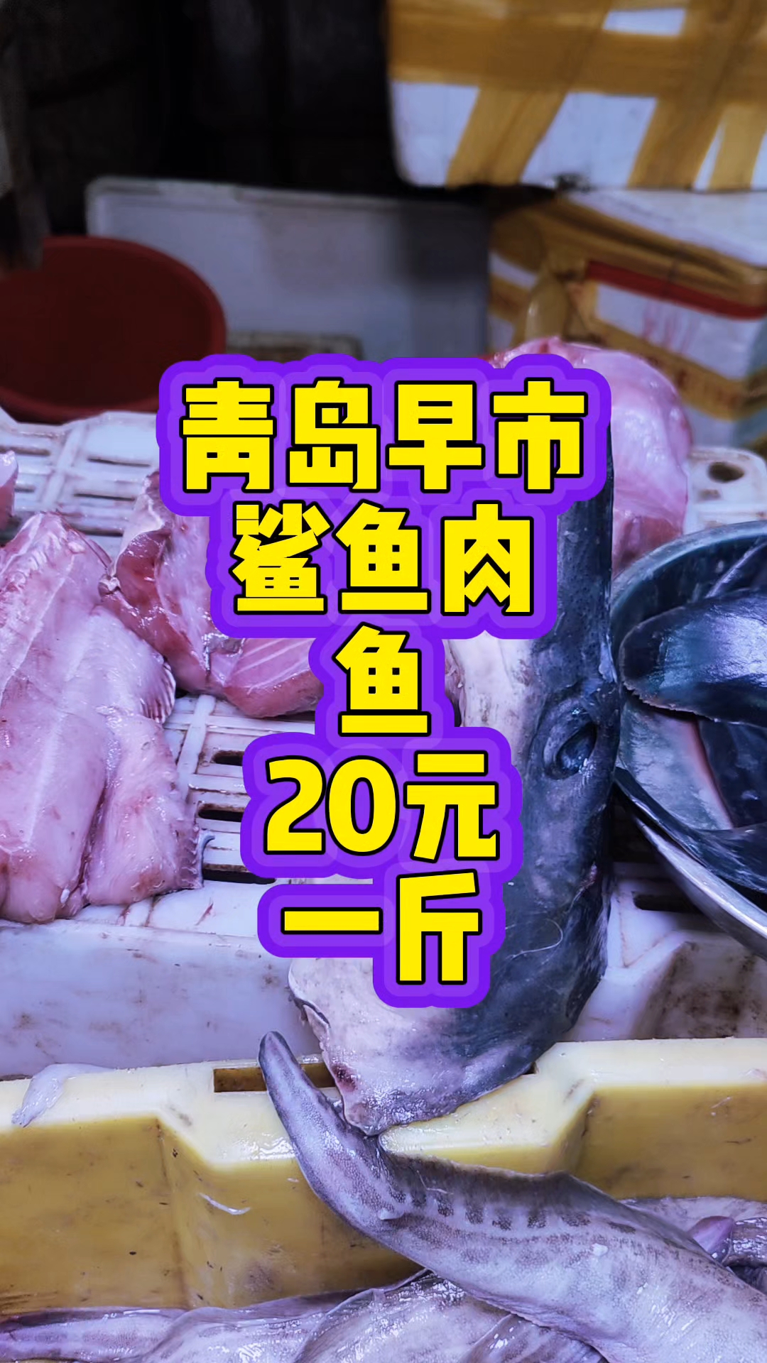 青岛早市,新鲜的鲨鱼肉,20元一斤