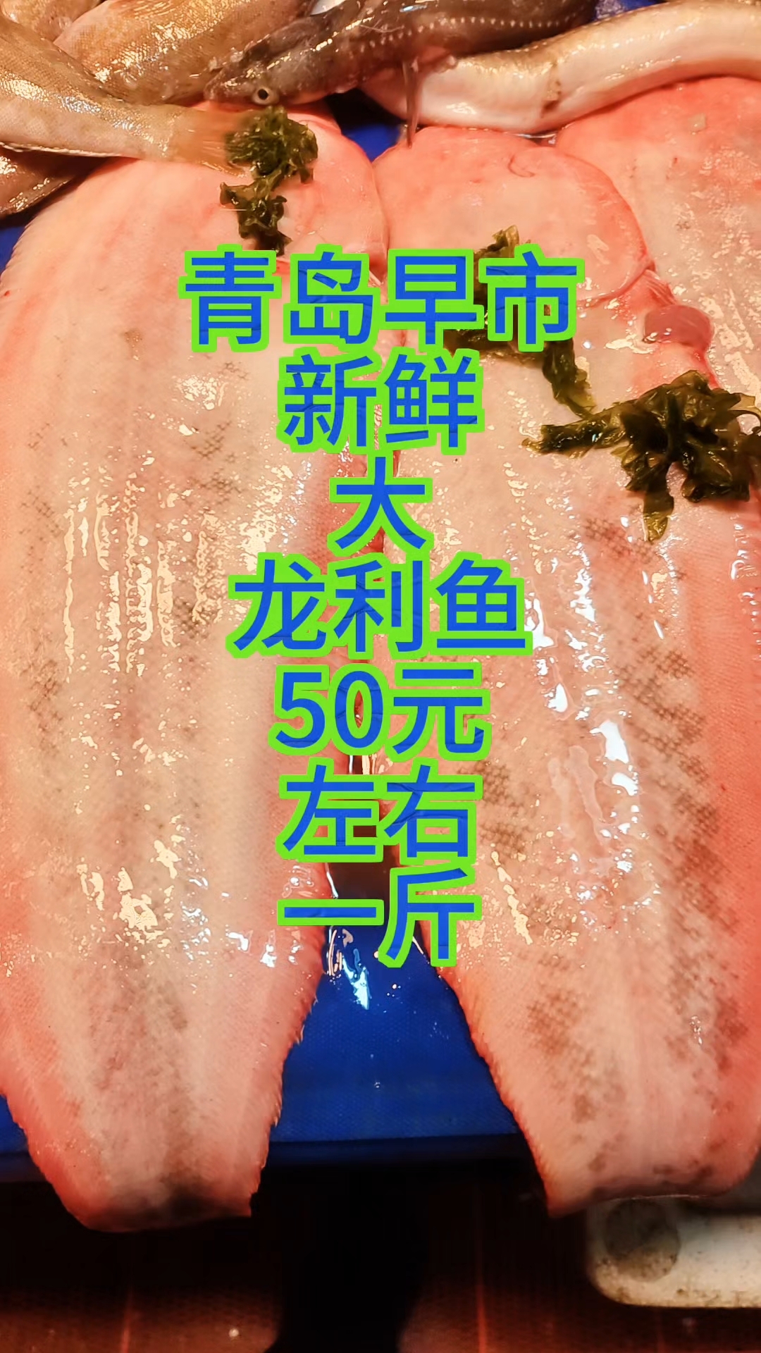 青岛早市,新鲜大龙利鱼,50元左右斤