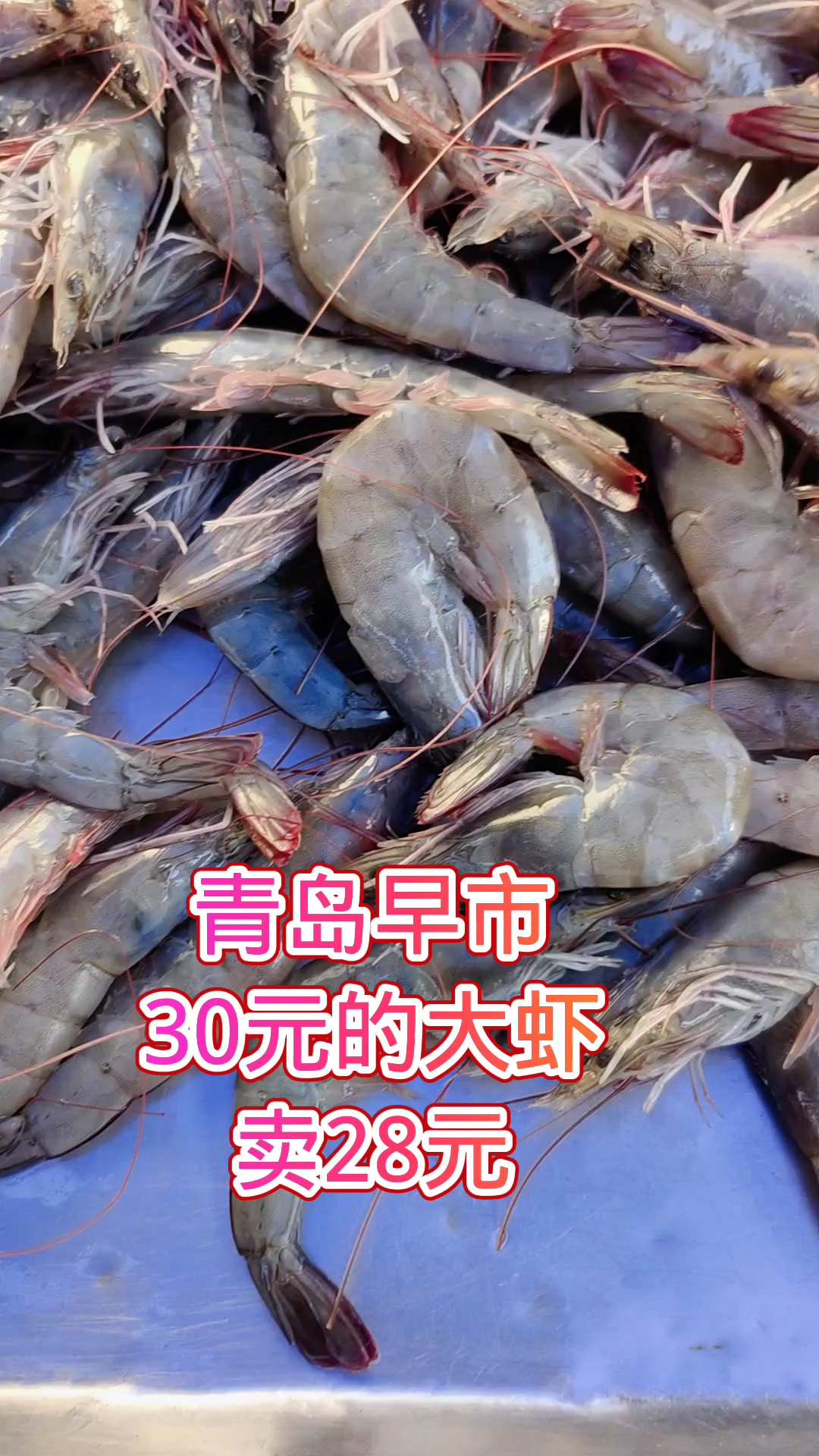 青岛早市,30元1斤的大虾卖28元