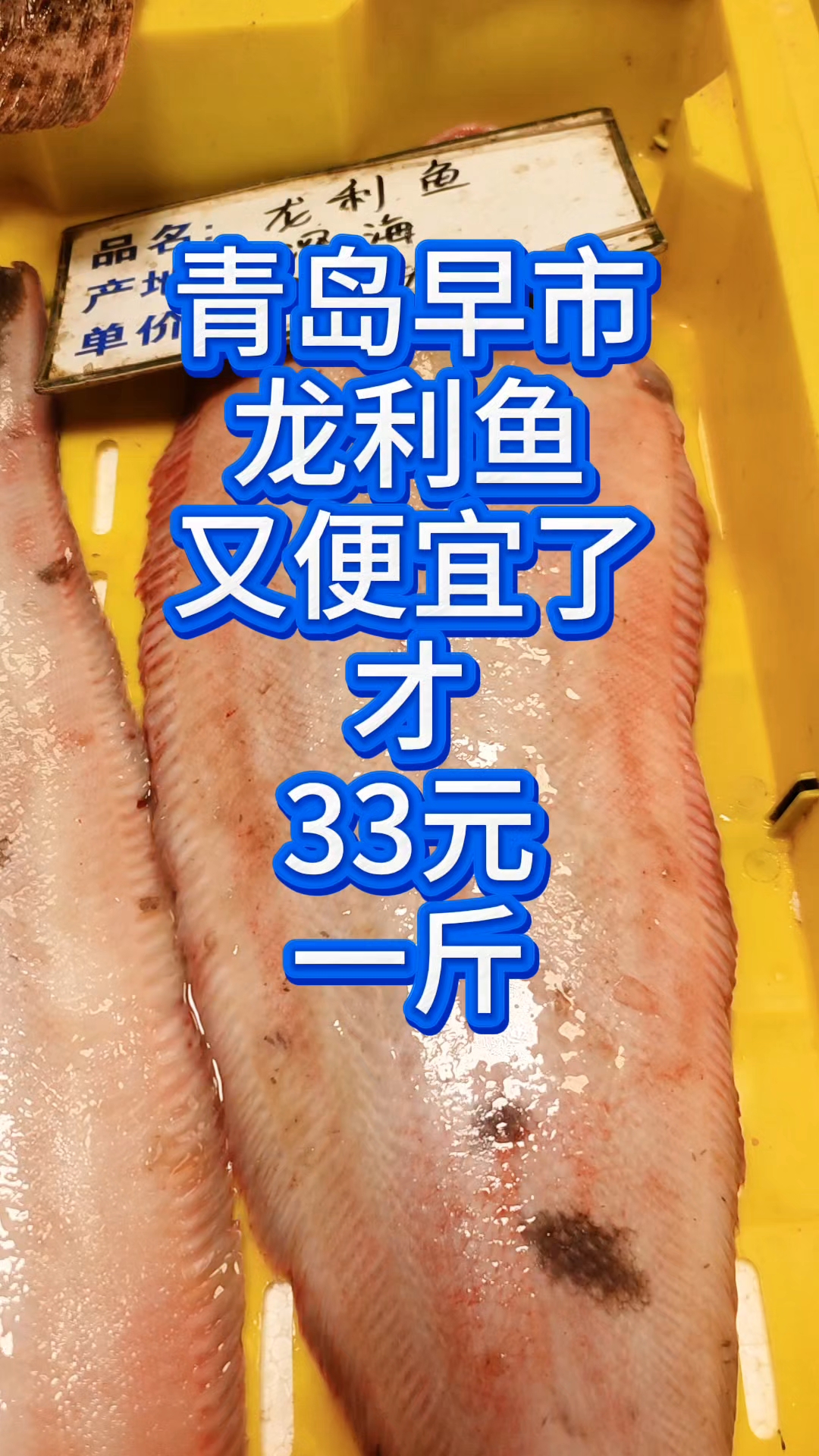 青岛早市，龙利鱼又便宜了，才33元一斤#橱窗挂载总动员#