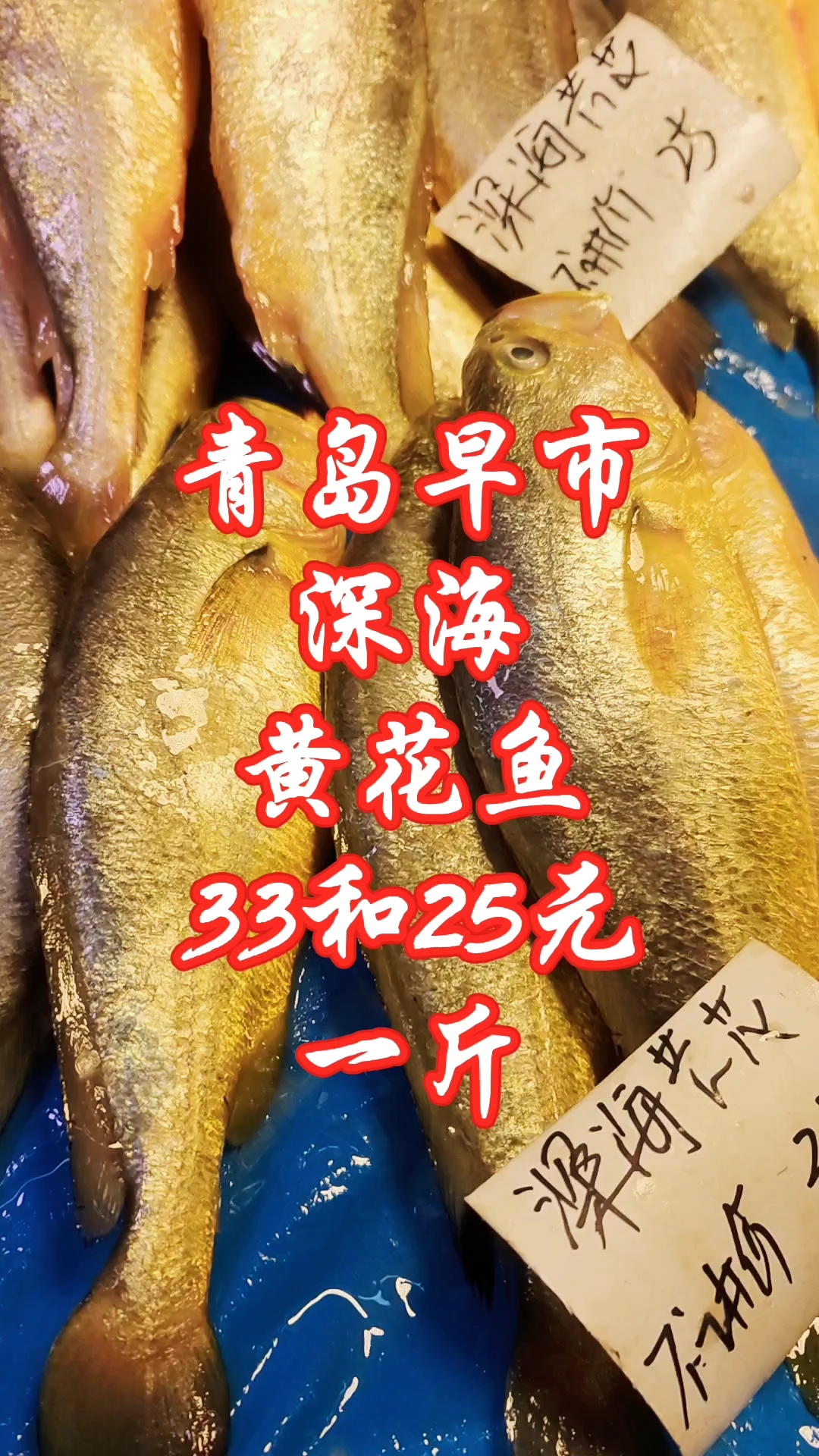 青岛早市,深海黄花鱼,33元和25元一斤