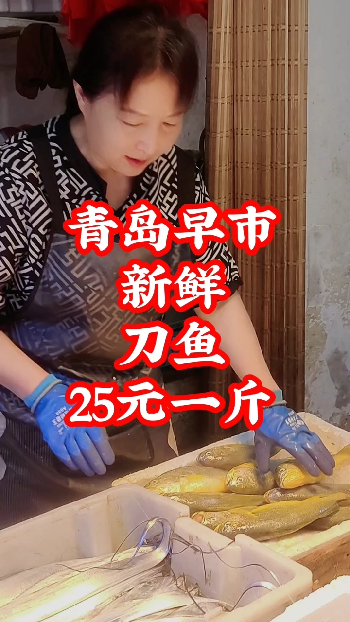青岛早市,新鲜刀鱼品质好,25元一斤