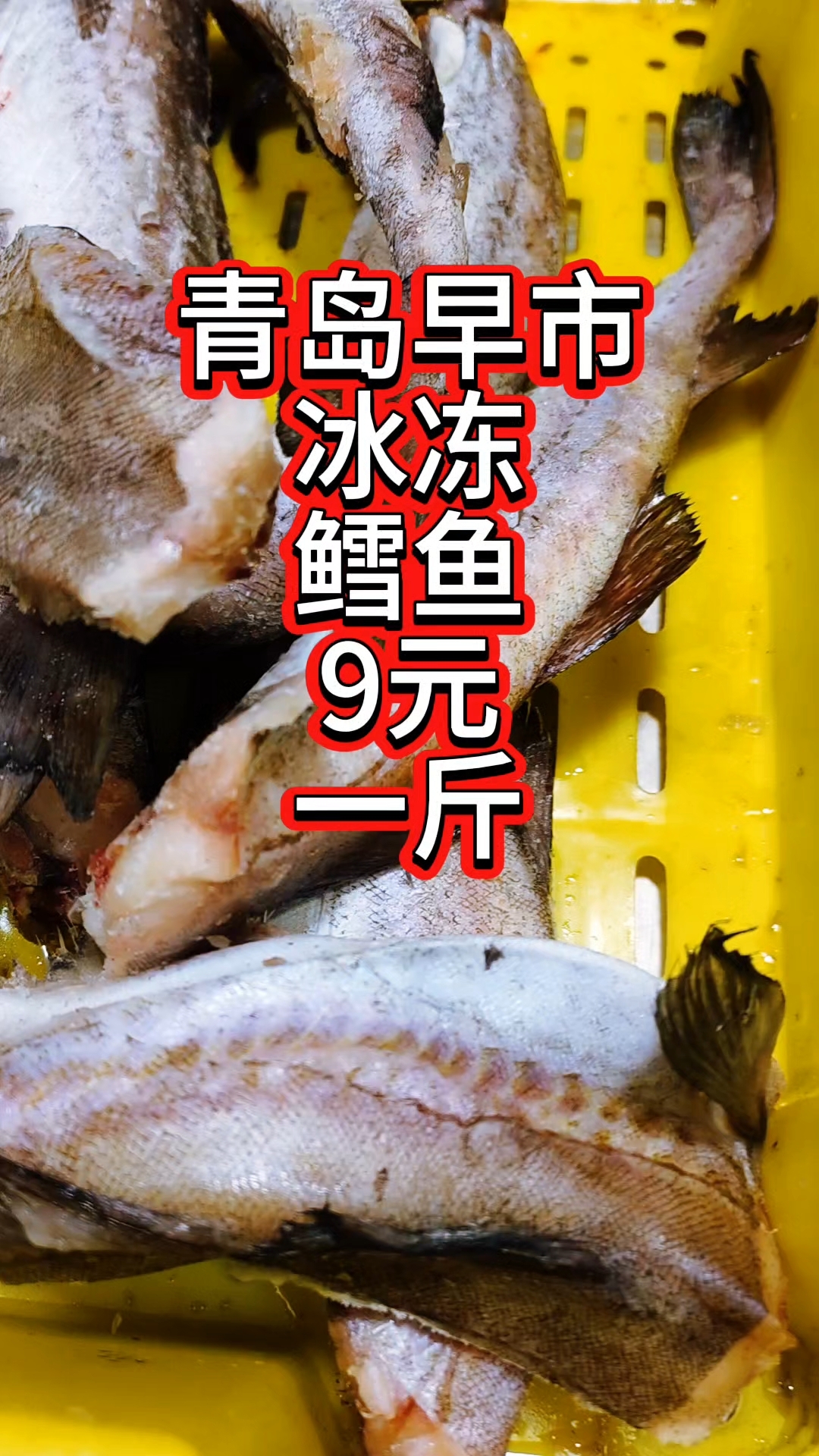 青岛早市,冰冻鳕鱼又便宜了,9元一斤