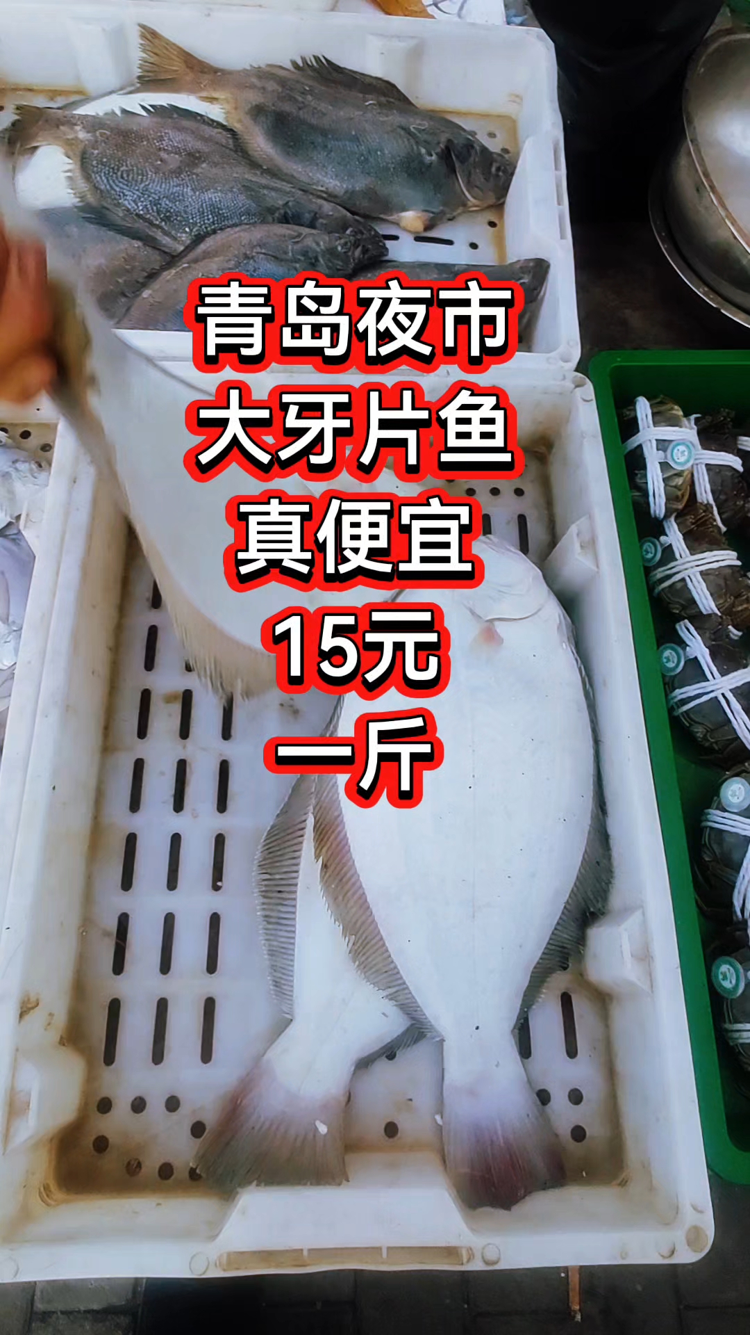 青岛夜市,大牙片鱼真便宜,15元一斤
