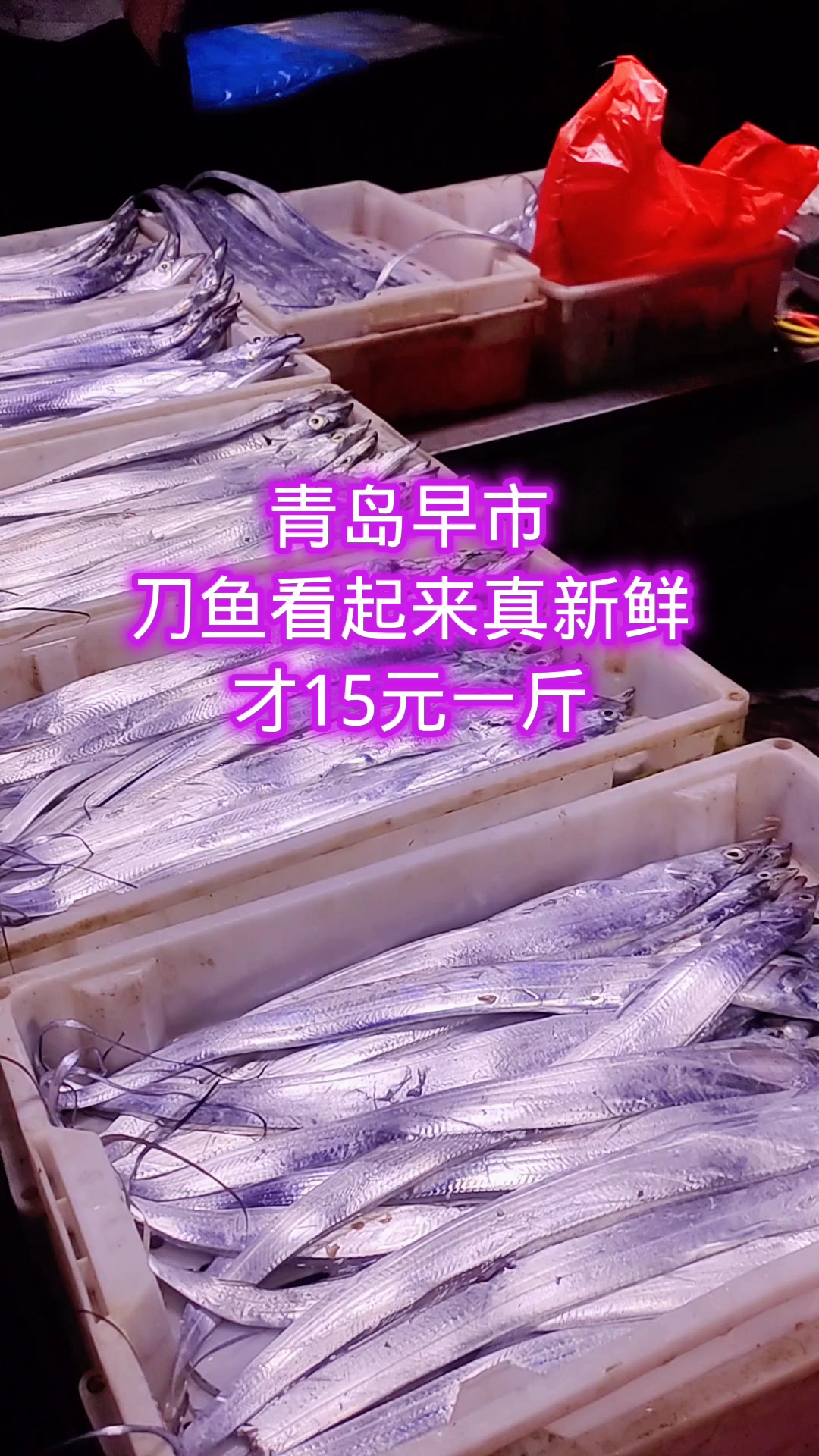 青岛早市,刀鱼看起来真新鲜,才15元一斤