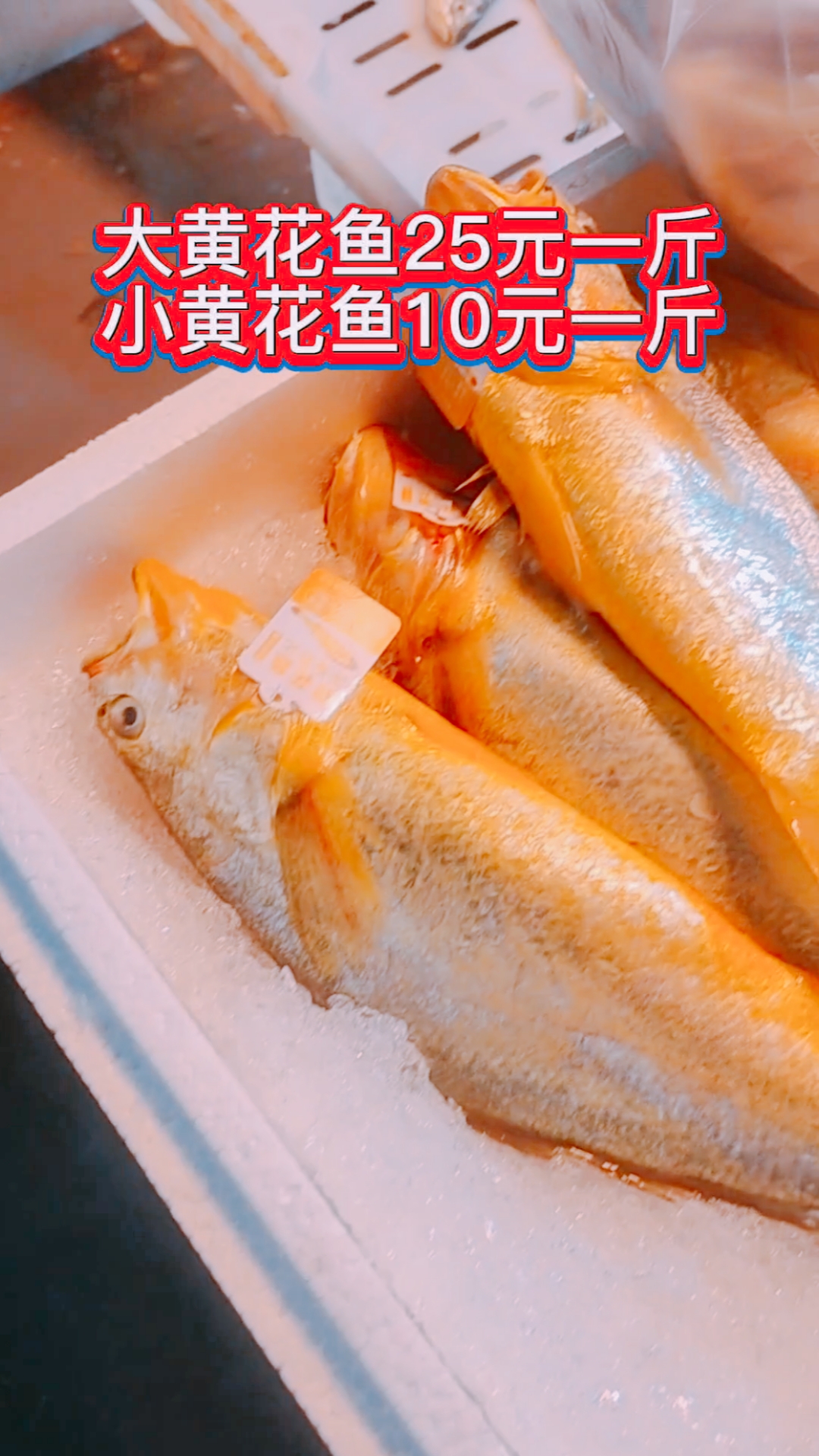 青岛早市,大黄花鱼25元一斤,小黄花鱼10元一斤