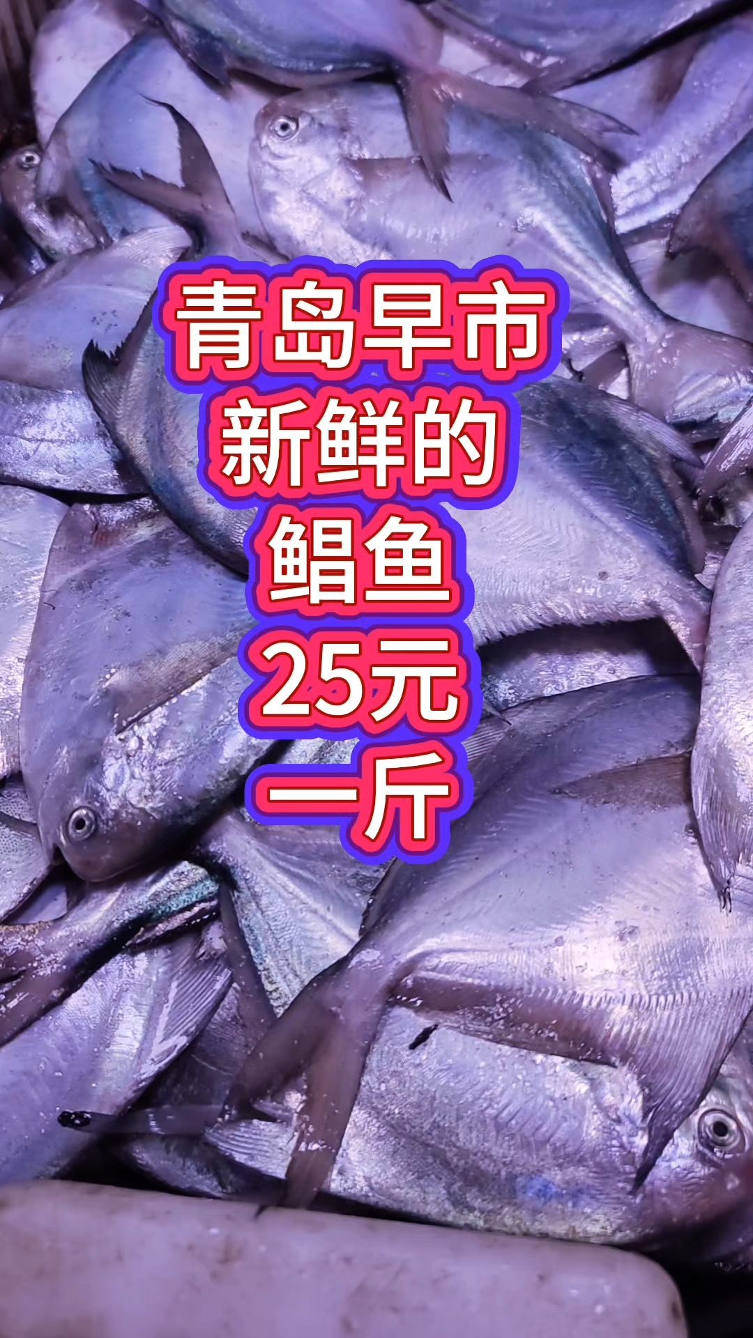 青岛早市,新鲜的鲳鱼便宜,25元一斤
