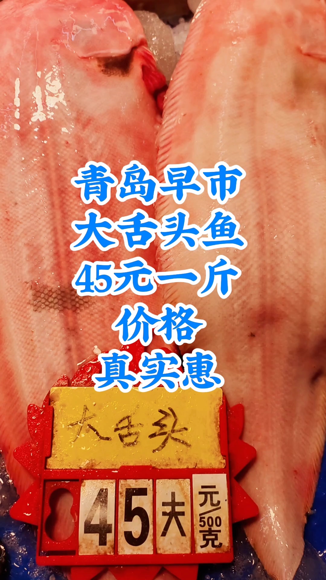 青岛早市,大舌头鱼,45元一斤,价格真实惠