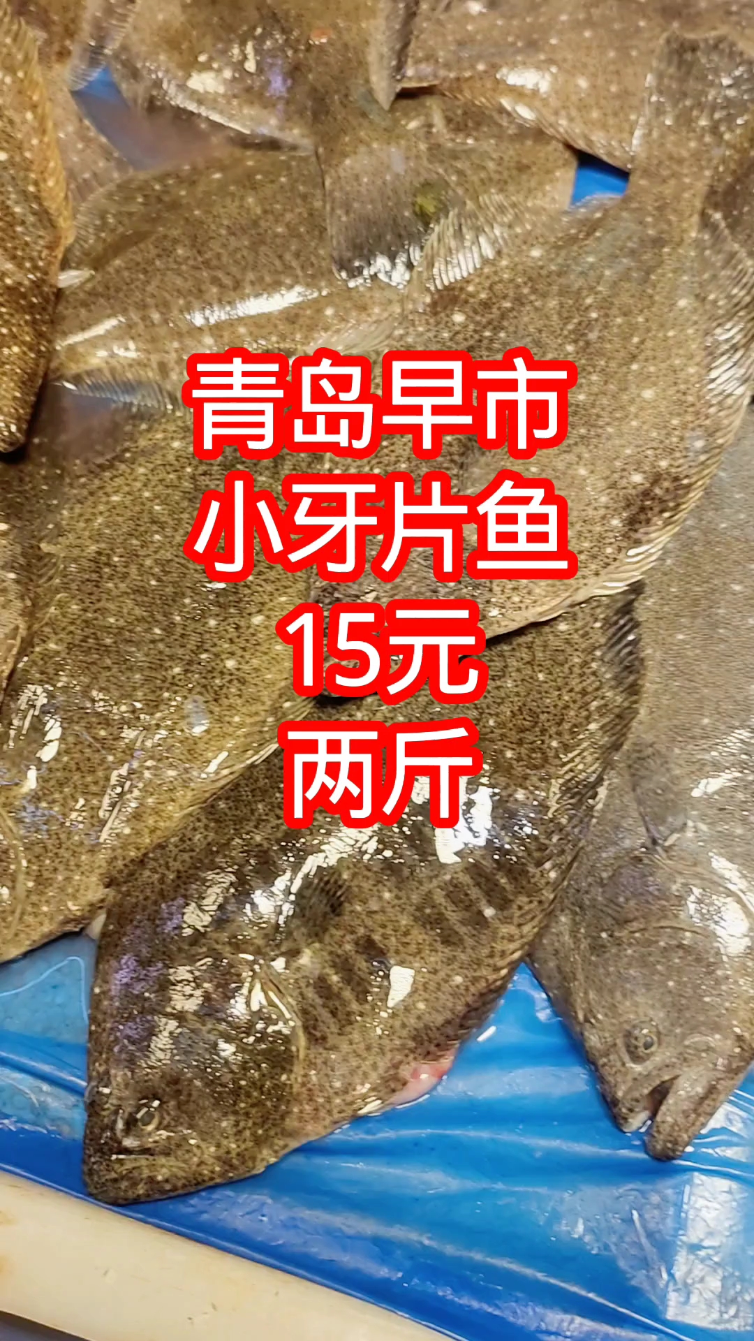青岛早市，小牙片鱼价格实惠，15元两斤