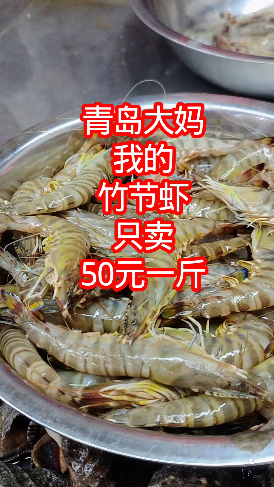 青岛大妈,我的竹节虾,只卖50元一斤,味道甜美