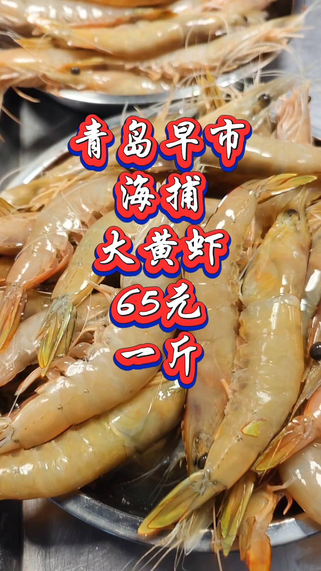 青岛早市,海捕大黄虾,65元一斤