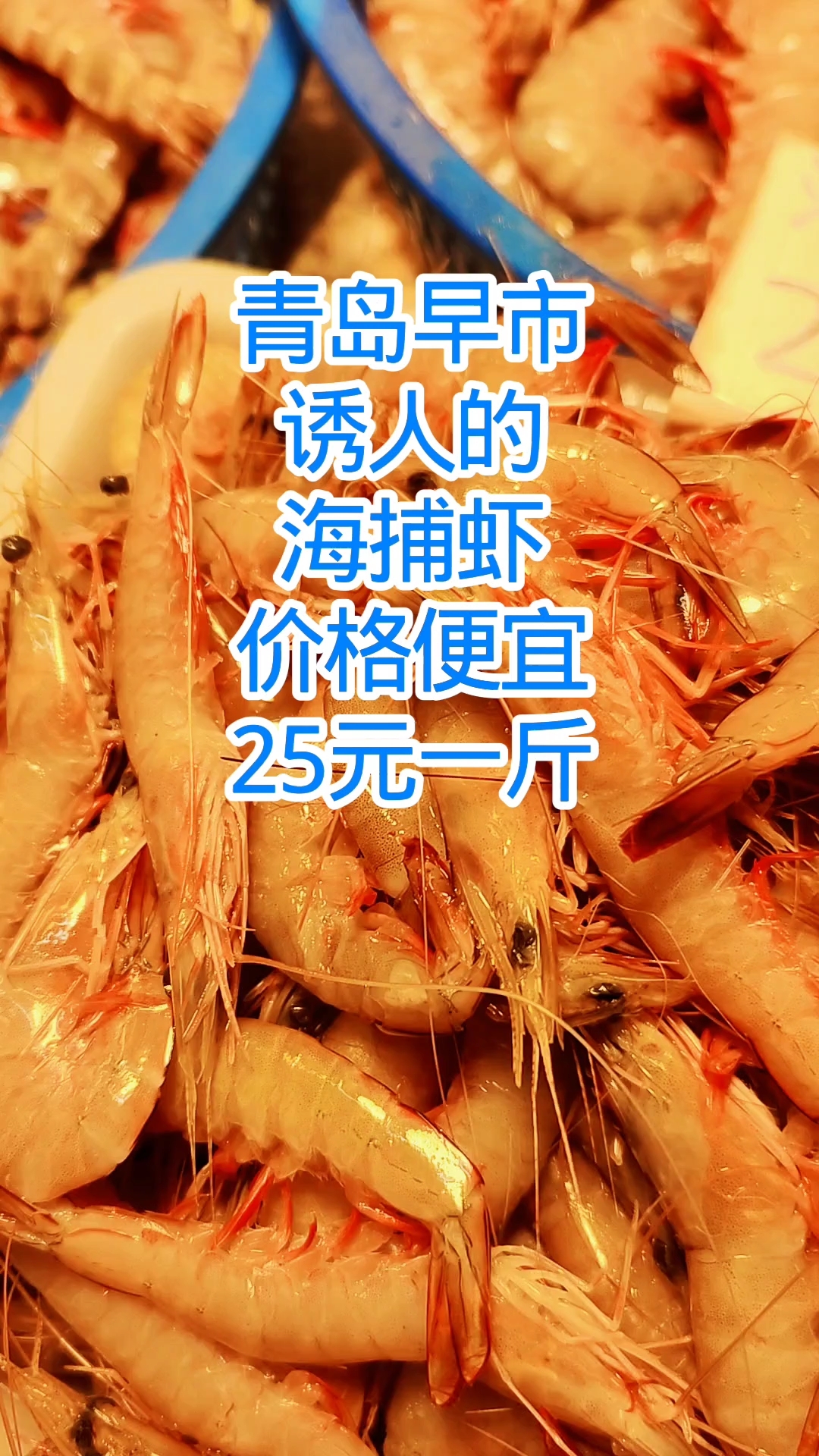 青岛早市,诱人的海捕虾,价格便宜,25元一斤