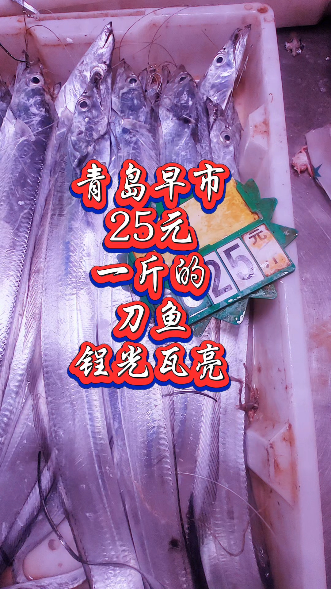 青岛早市，25元一斤的刀鱼，锃光瓦亮
