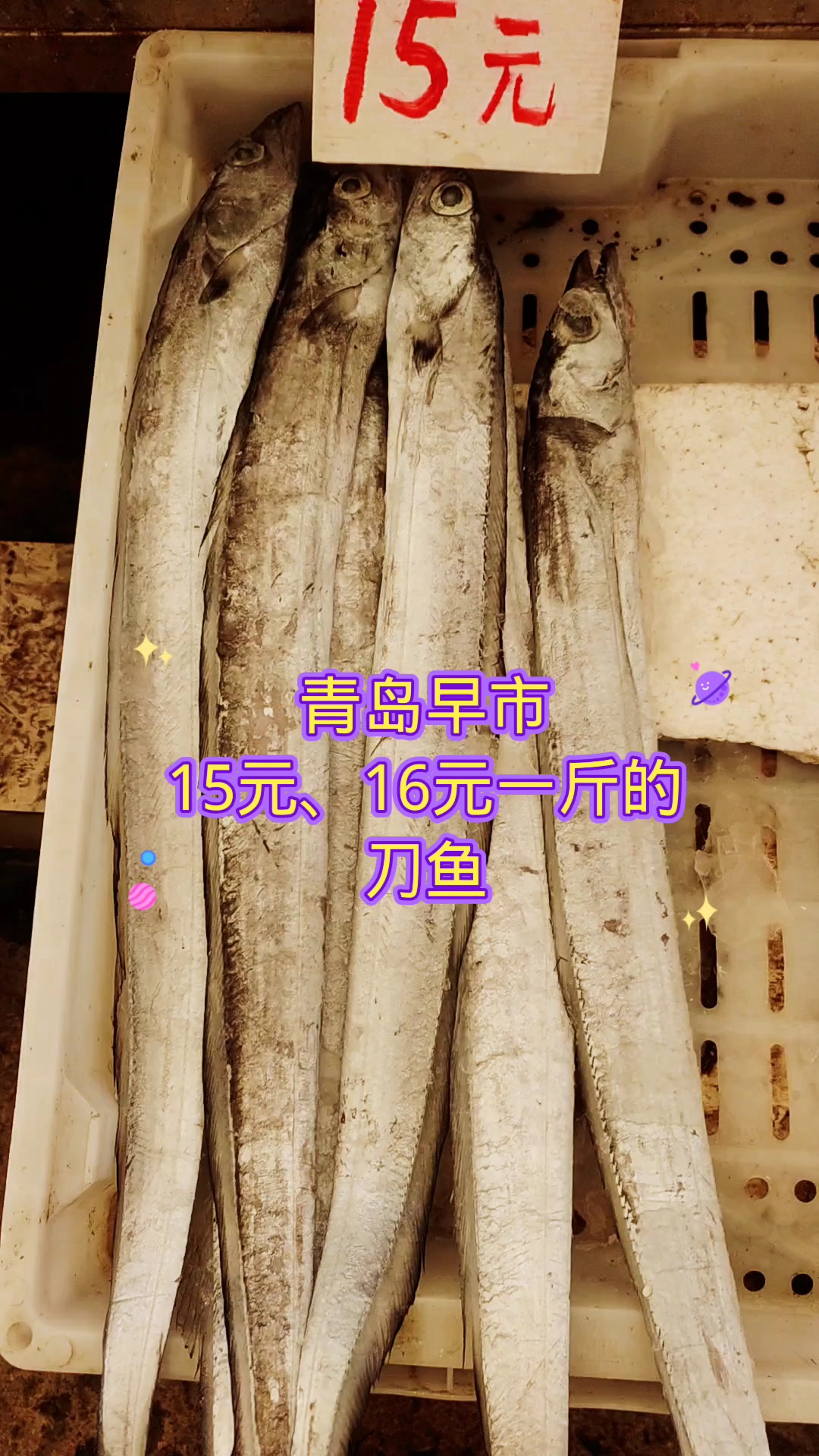 青岛早市,15元和16元一斤的刀鱼,有啥区别?