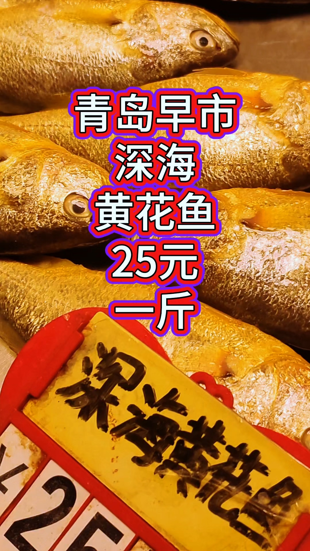 青岛早市,深海黄花鱼,25元一斤