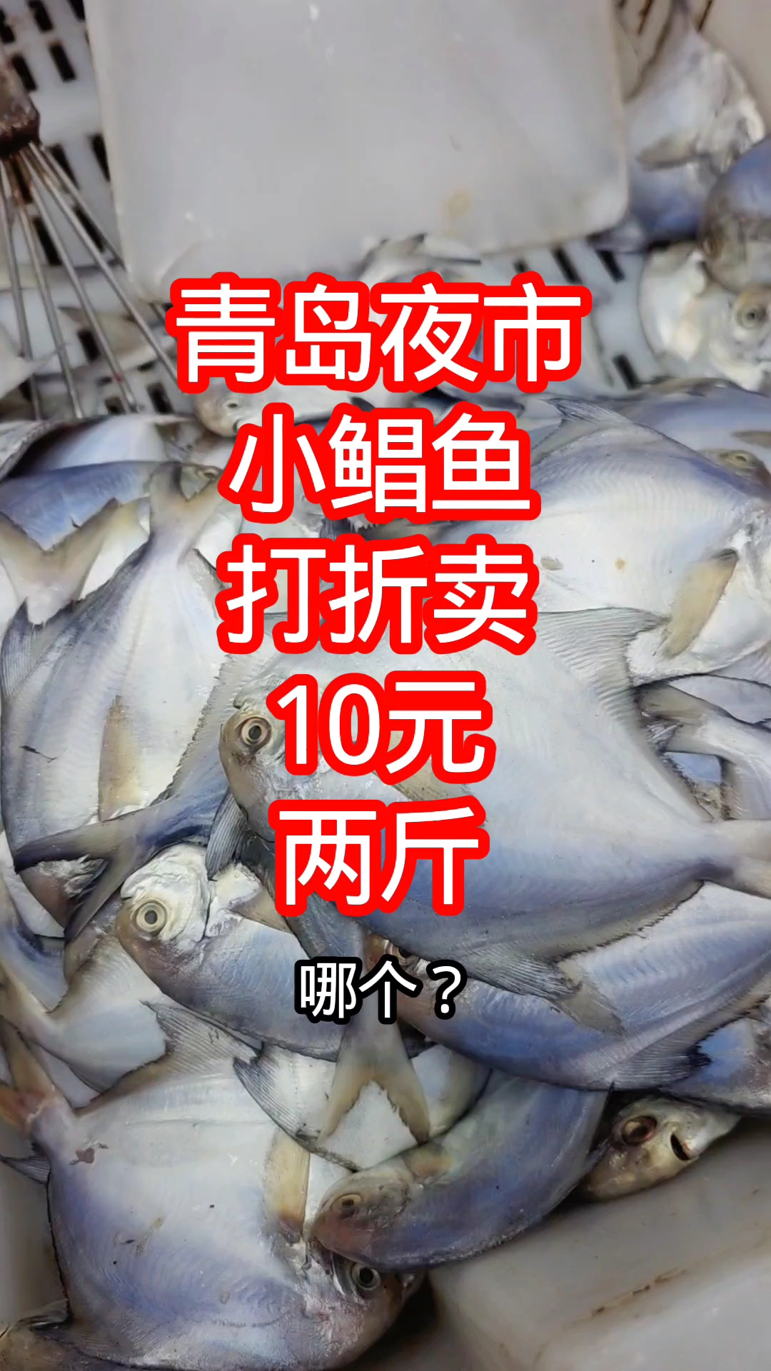青岛夜市，小鲳鱼打折卖，10元两斤
