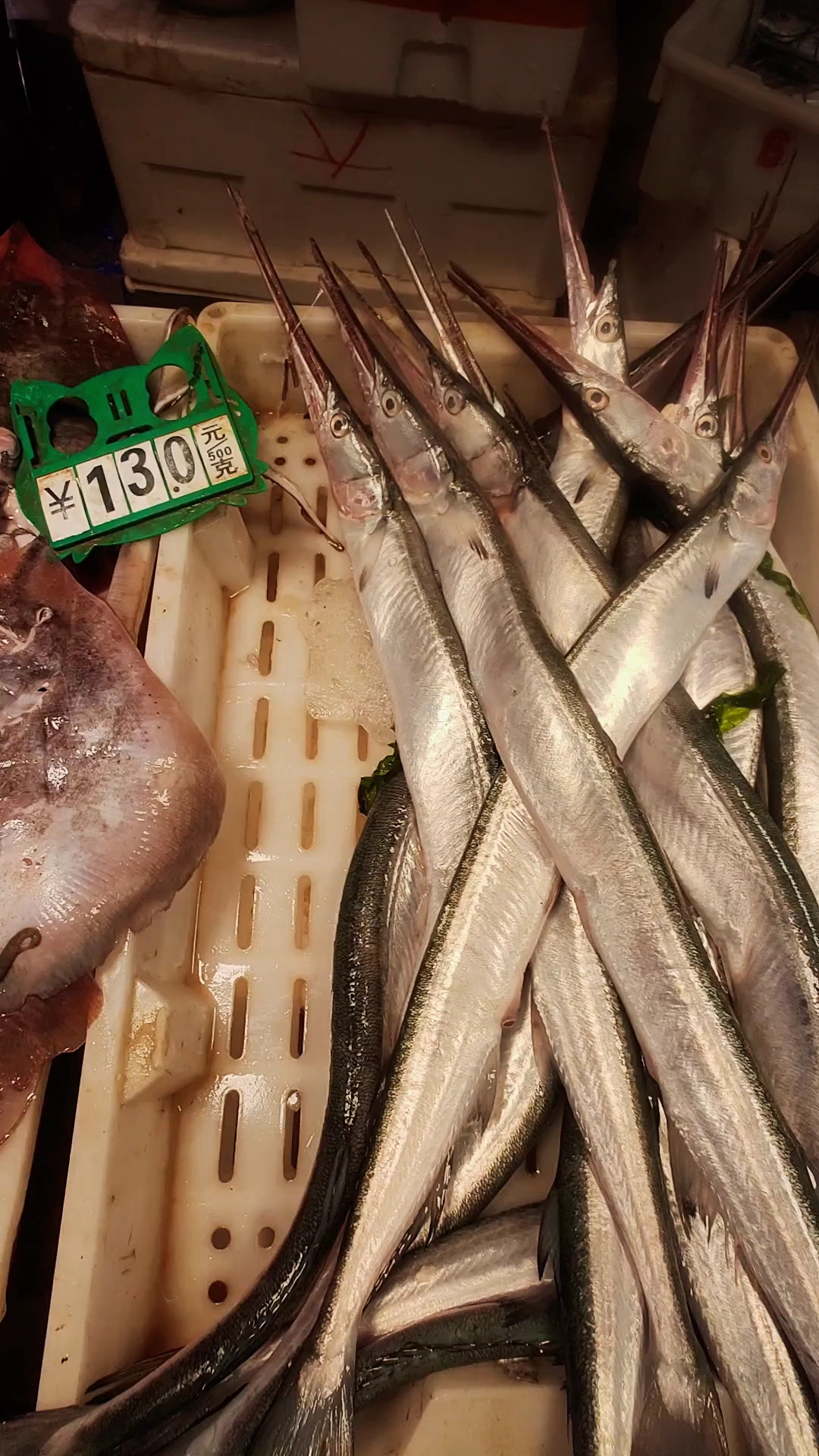 青岛早市,13元一斤的针良鱼,个头还不小