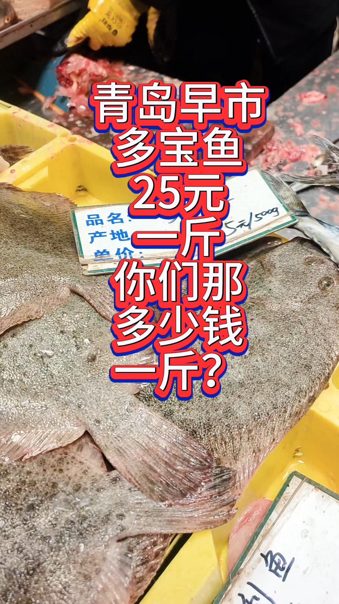 青岛早市,多宝鱼25元一斤,你们那多少钱一斤?#优质视频巅峰挑战赛#