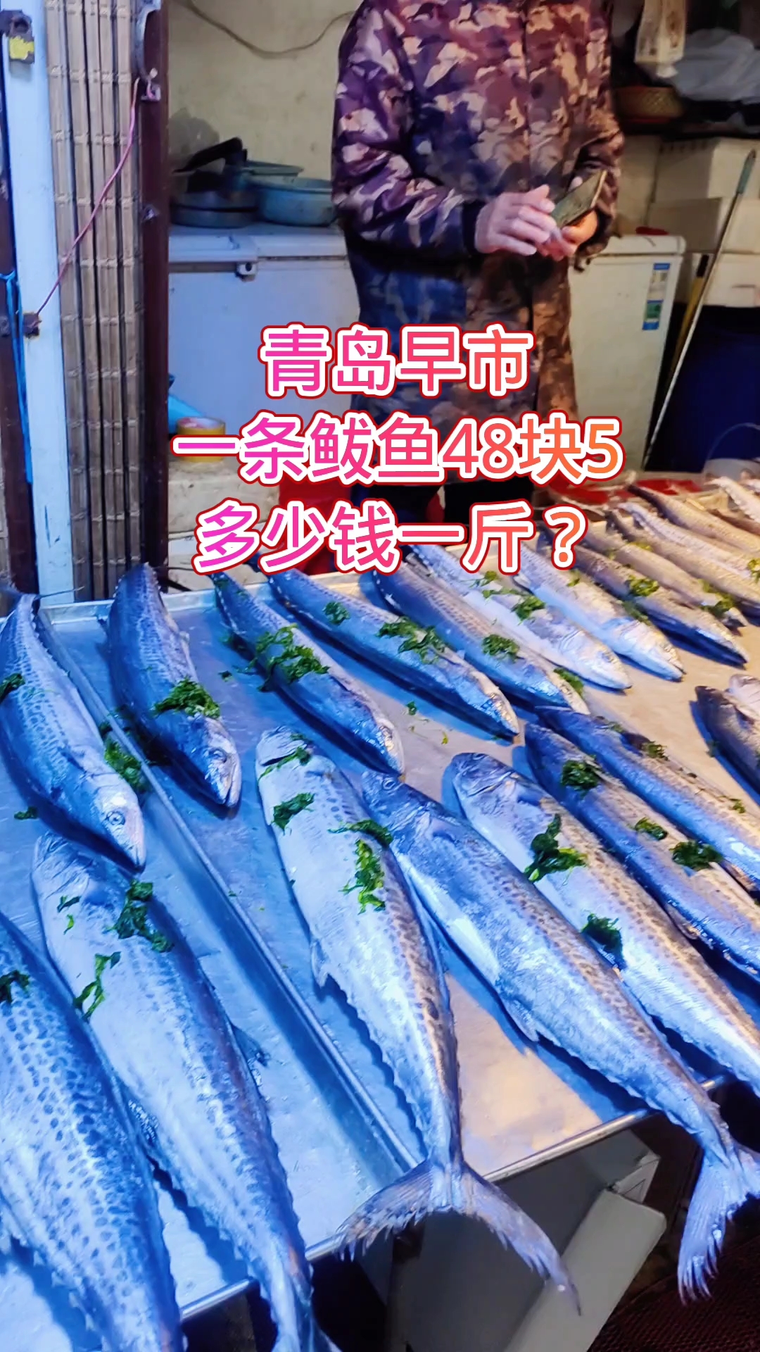 青岛早市,一条鲅鱼48.5元,多少钱一斤呢?