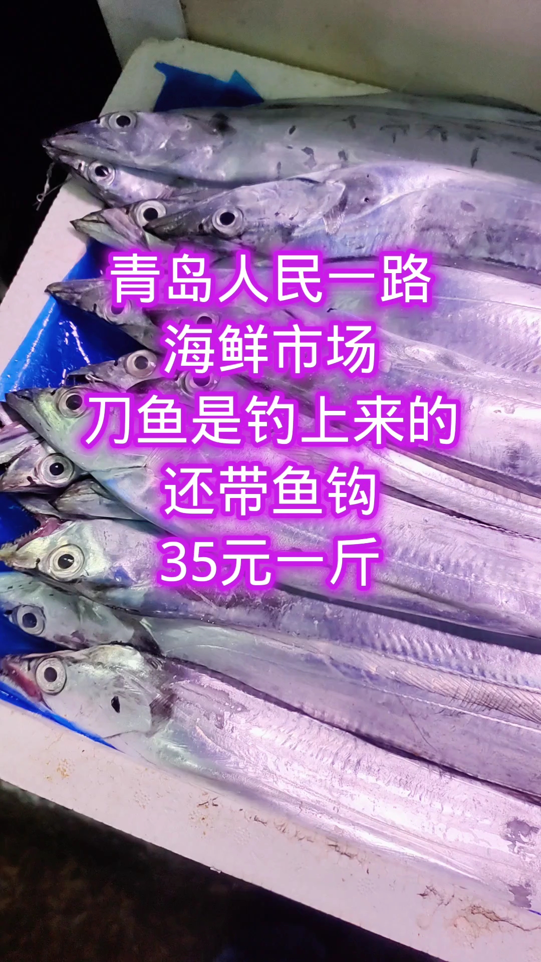 青岛海鲜,刚钓上来的刀鱼,还带着鱼钩,浑身锃亮,35元一斤