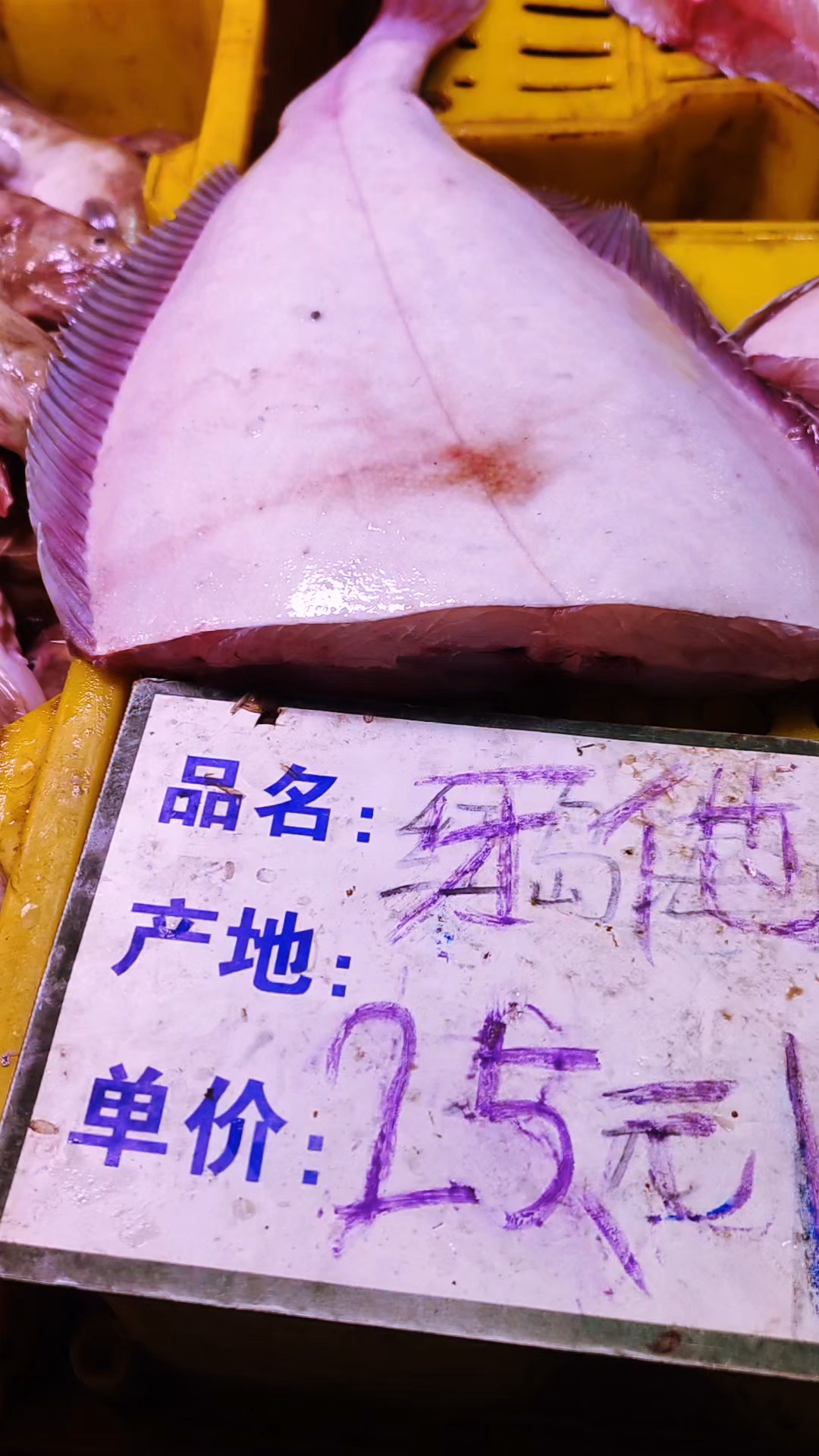 青岛早市,大牙片鱼四五斤一条,25元一斤
