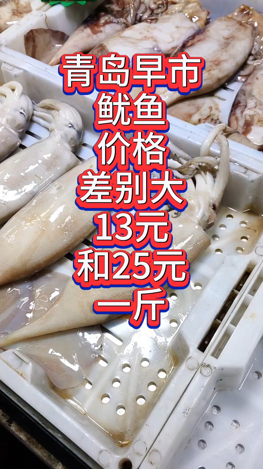 青岛早市,鱿鱼价格差别大,13和25元一斤,你选哪一款?#优质视频激励计划#