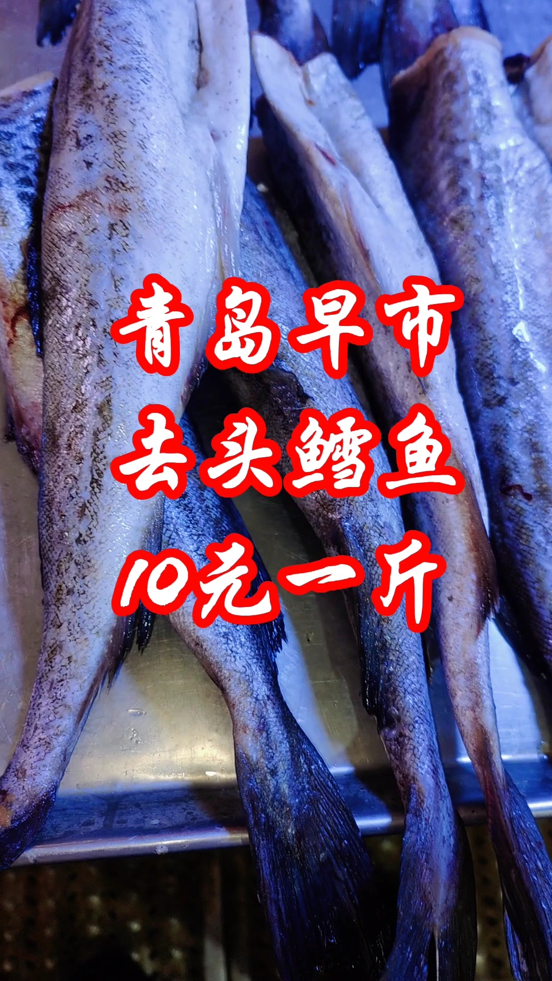 青岛早市,去头鳕鱼,10元一斤