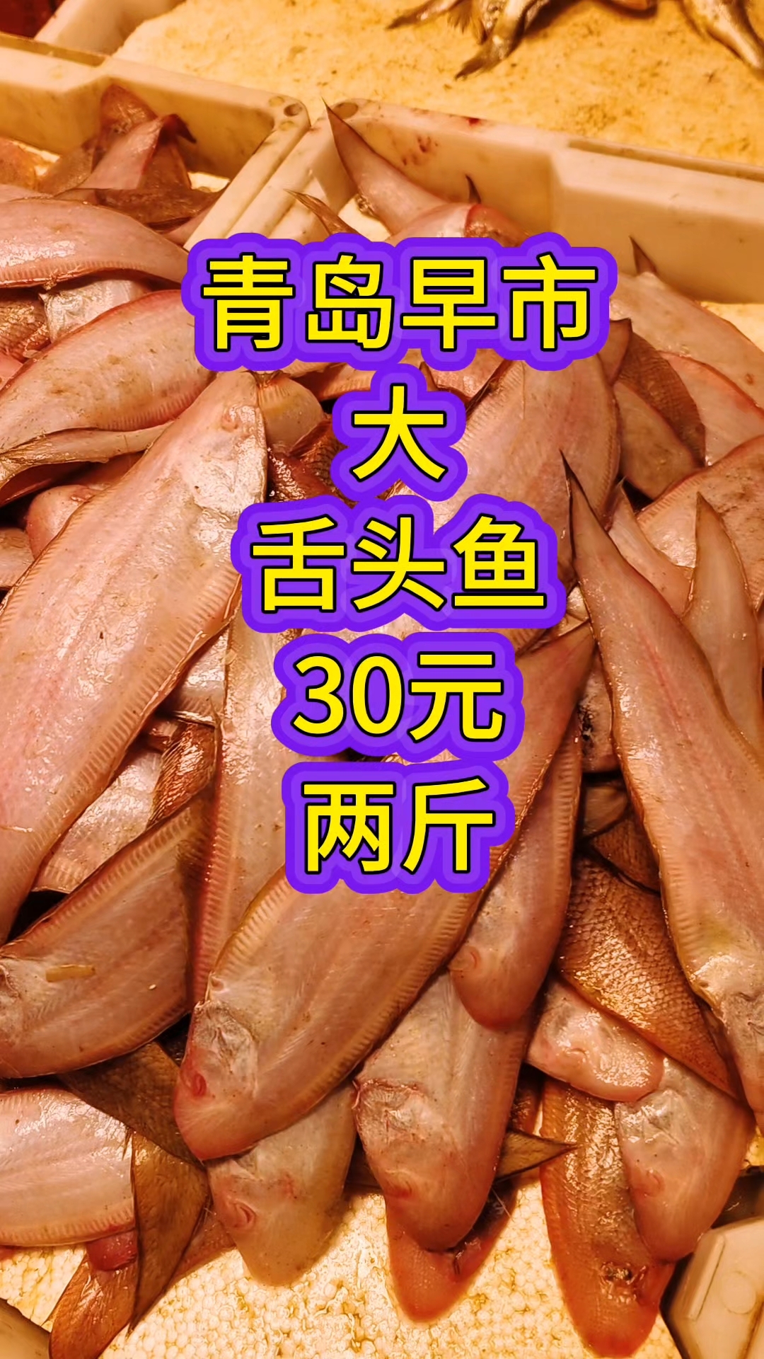 青岛早市,大舌头鱼新鲜,30元两斤