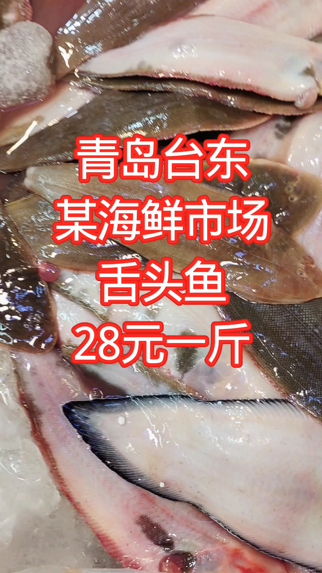 青岛台东,某海鲜市场,舌头鱼28元一斤