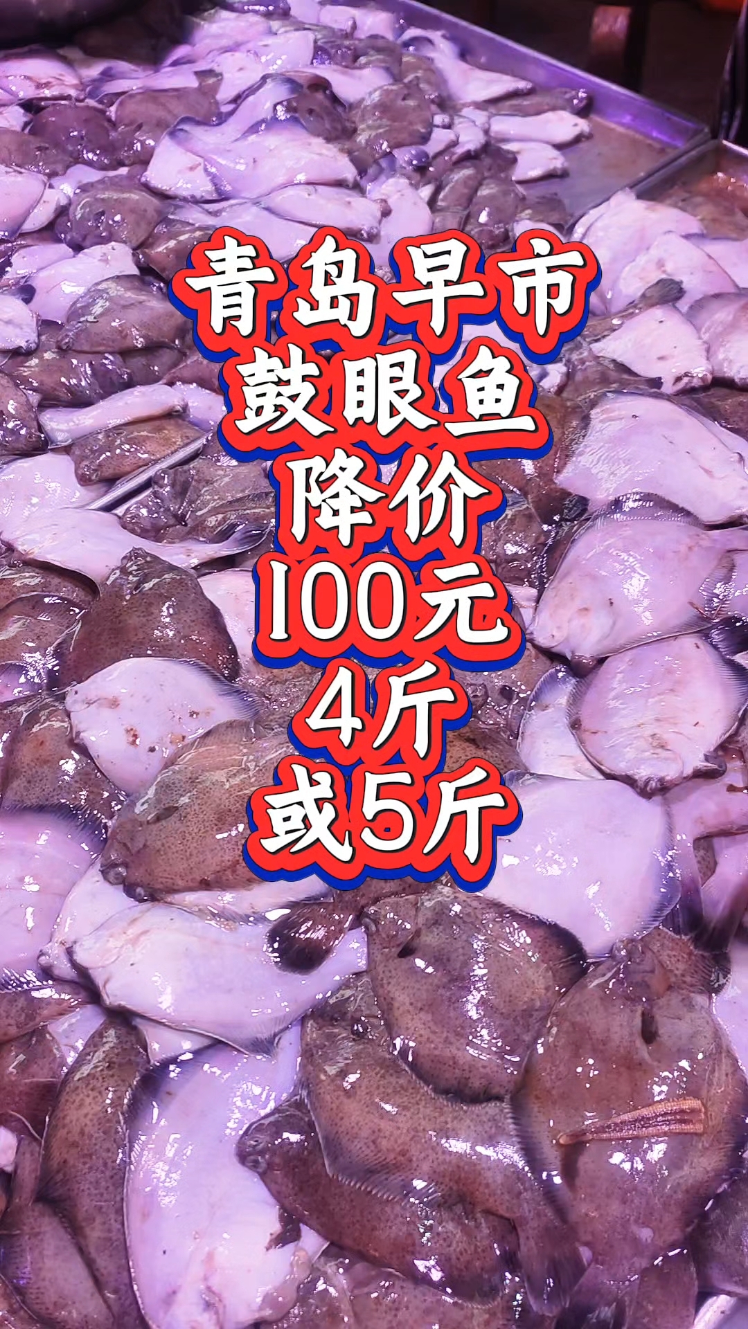 青岛早市,鼓眼鱼降价,100元4斤或5斤