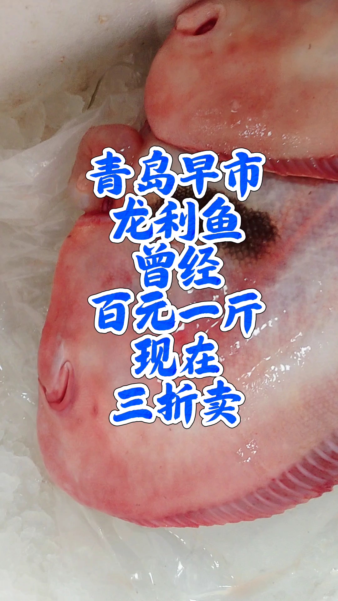 青岛早市,龙利鱼曾经百元一斤,现在打3折,35一斤
