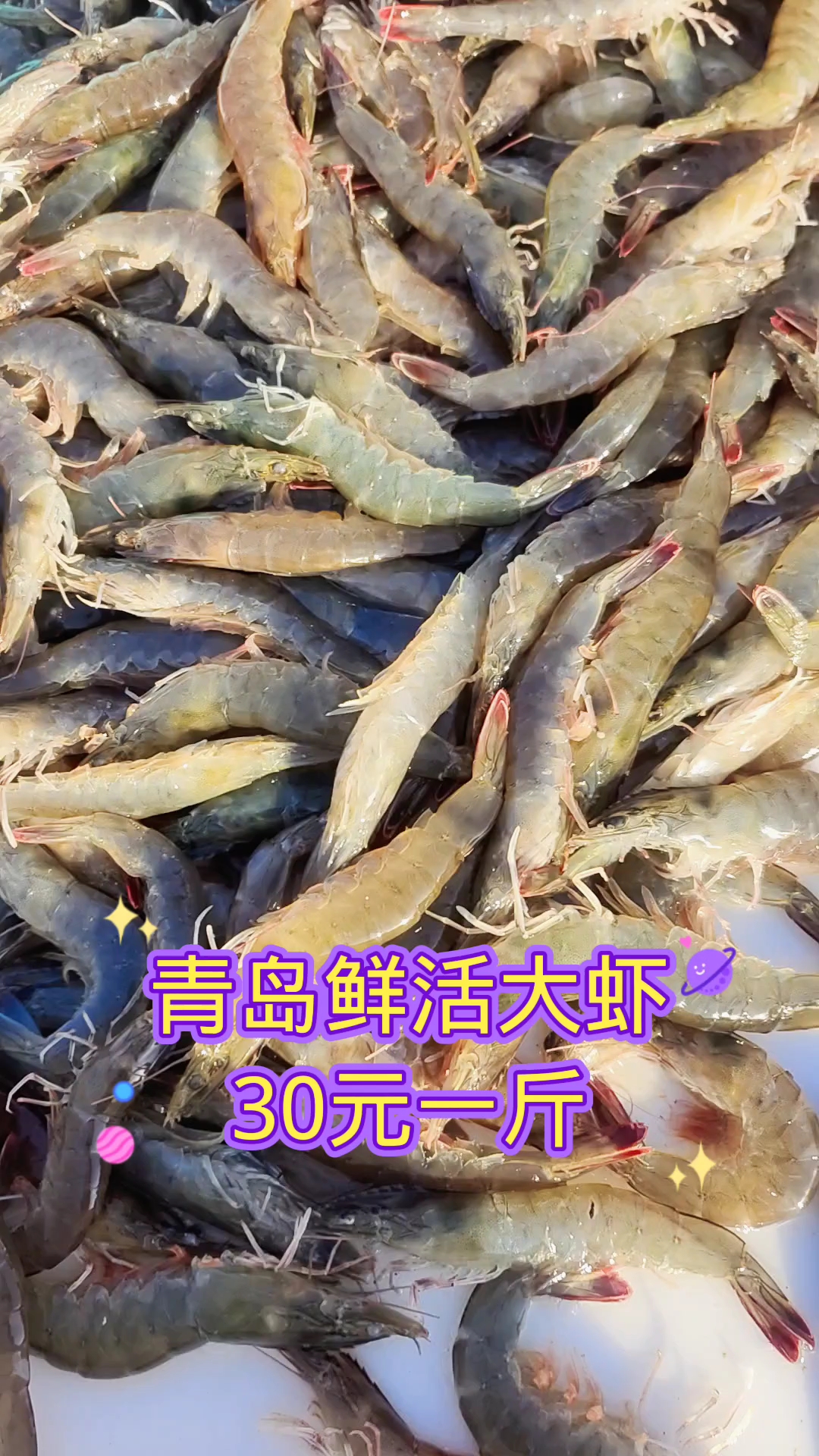 青岛鲜活大虾,30元一斤,老板说,本来卖35元一斤