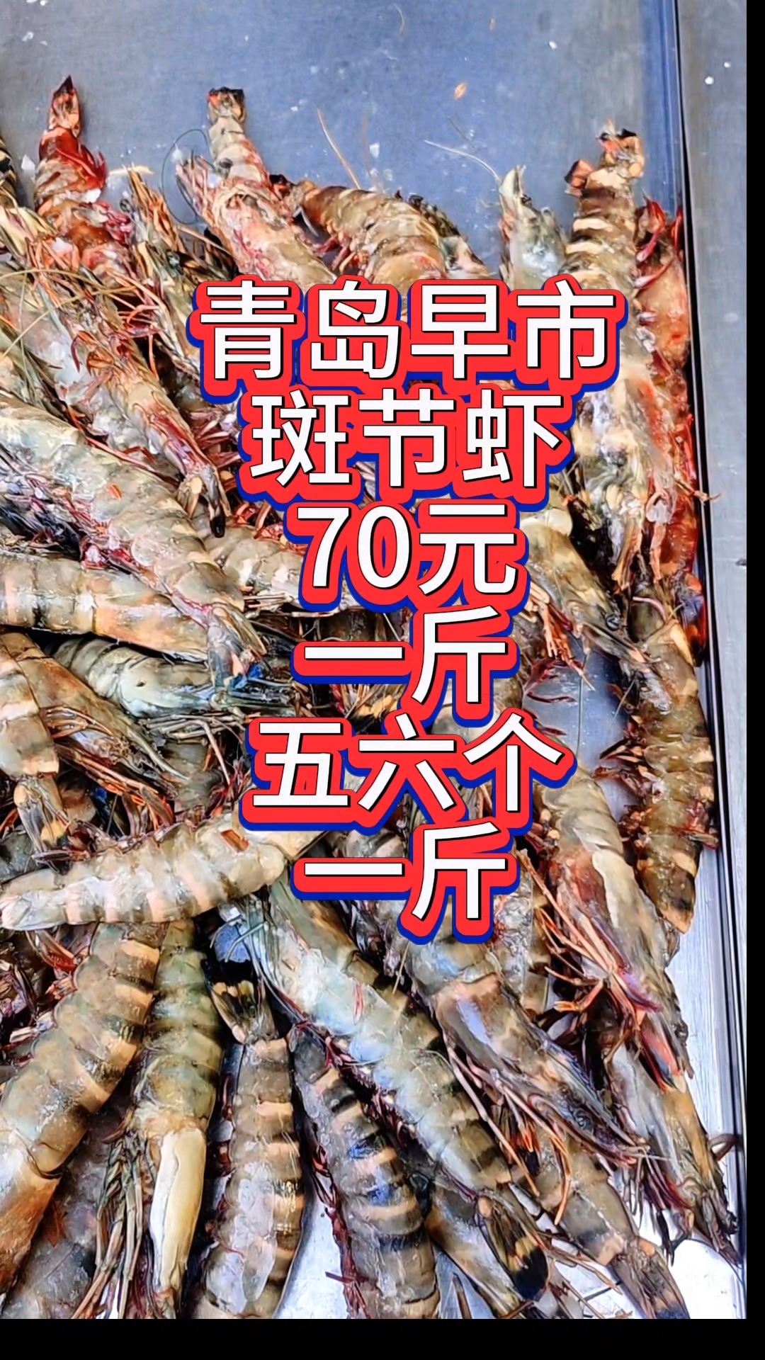 青岛早市，斑节虾70元一斤，一斤有五六只