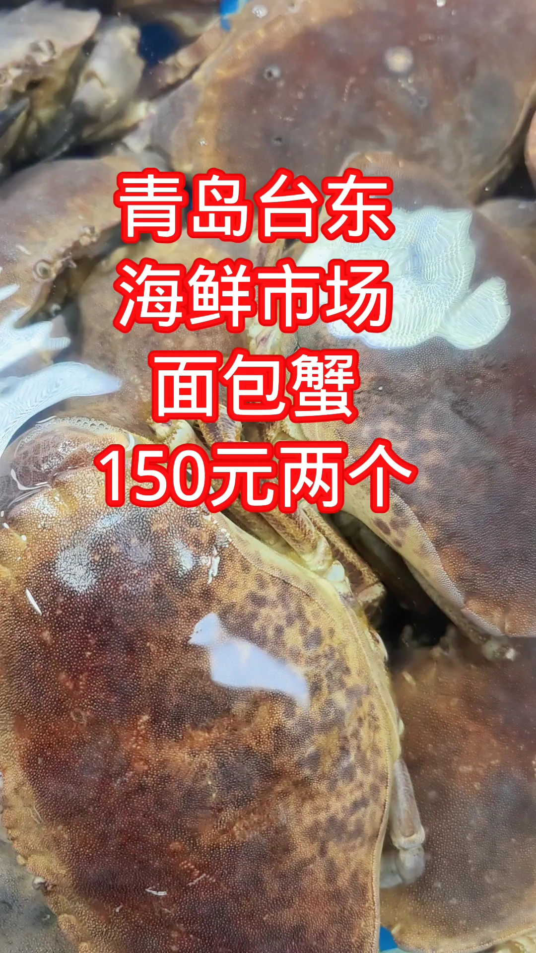 青岛台东海鲜市场,鲜活的面包蟹,150元两个
