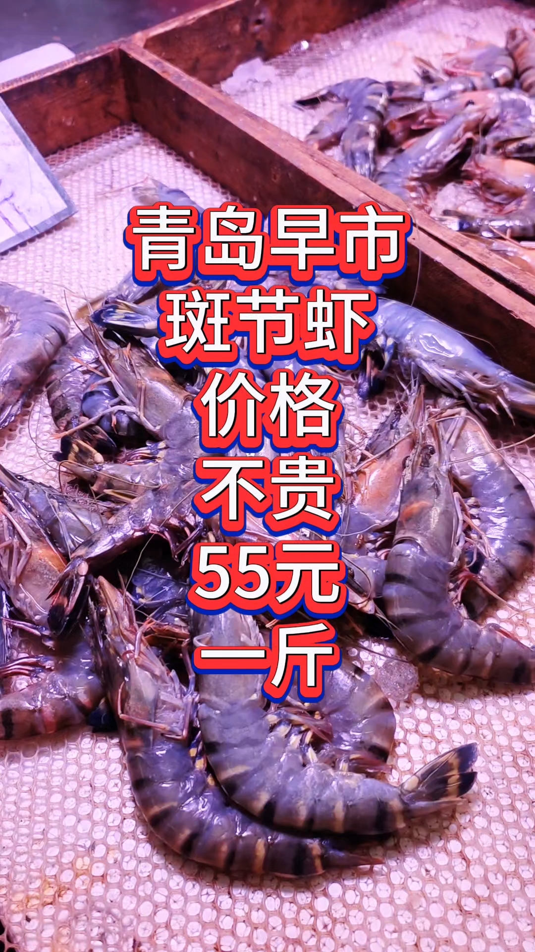 青岛早市，班节虾价格不贵，55元一斤