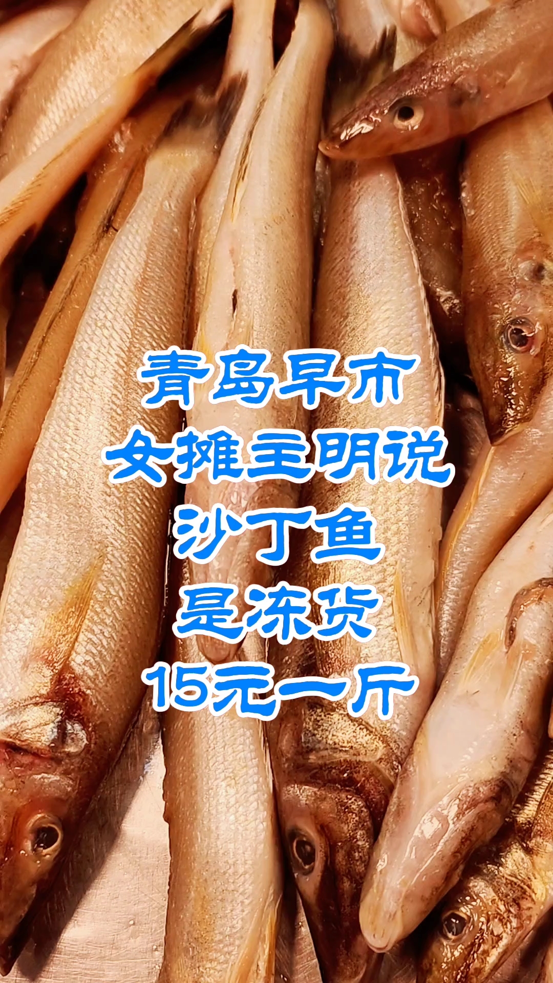 青岛早市，女摊主明说，沙丁鱼是冻货，15元一斤