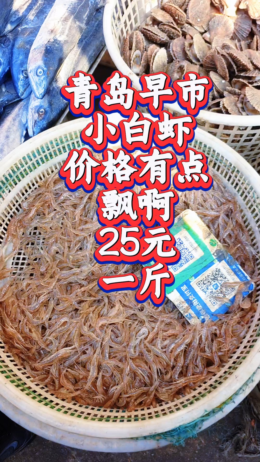 青岛早市，小白虾价格有点高，25元一斤，便宜时十几块钱一斤
