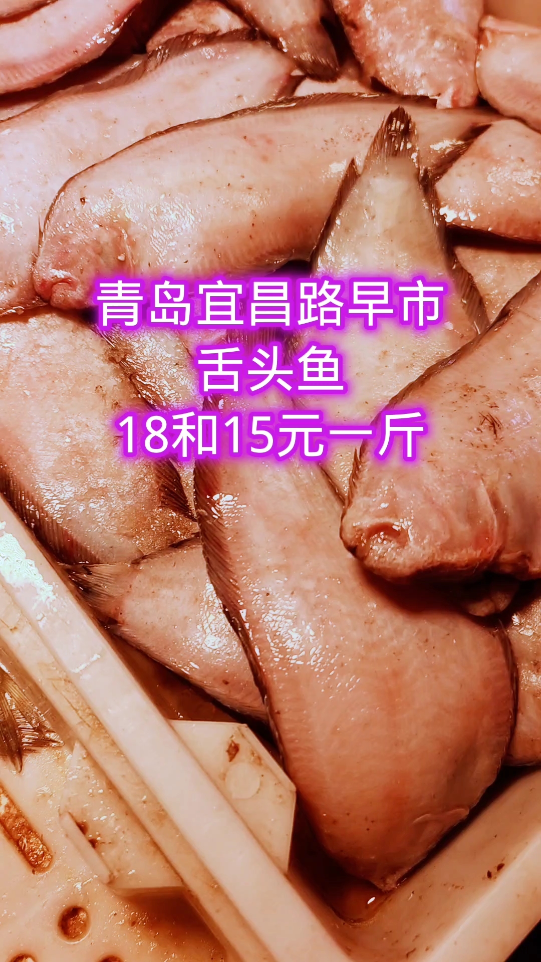 青岛宜昌路北山早市,舌头鱼,18和15元一斤