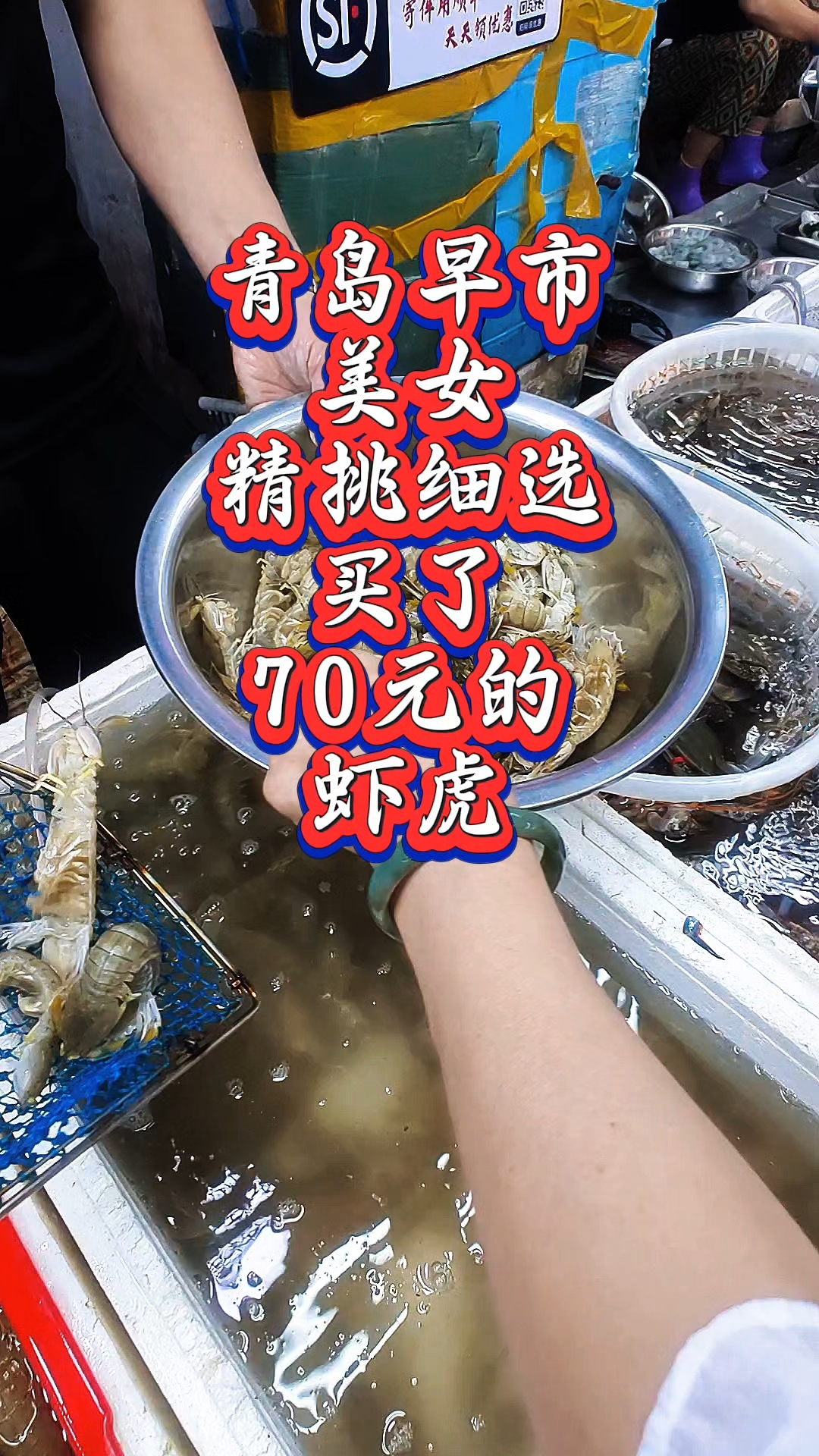 青岛早市,美女精挑细选,买了70元的虾虎