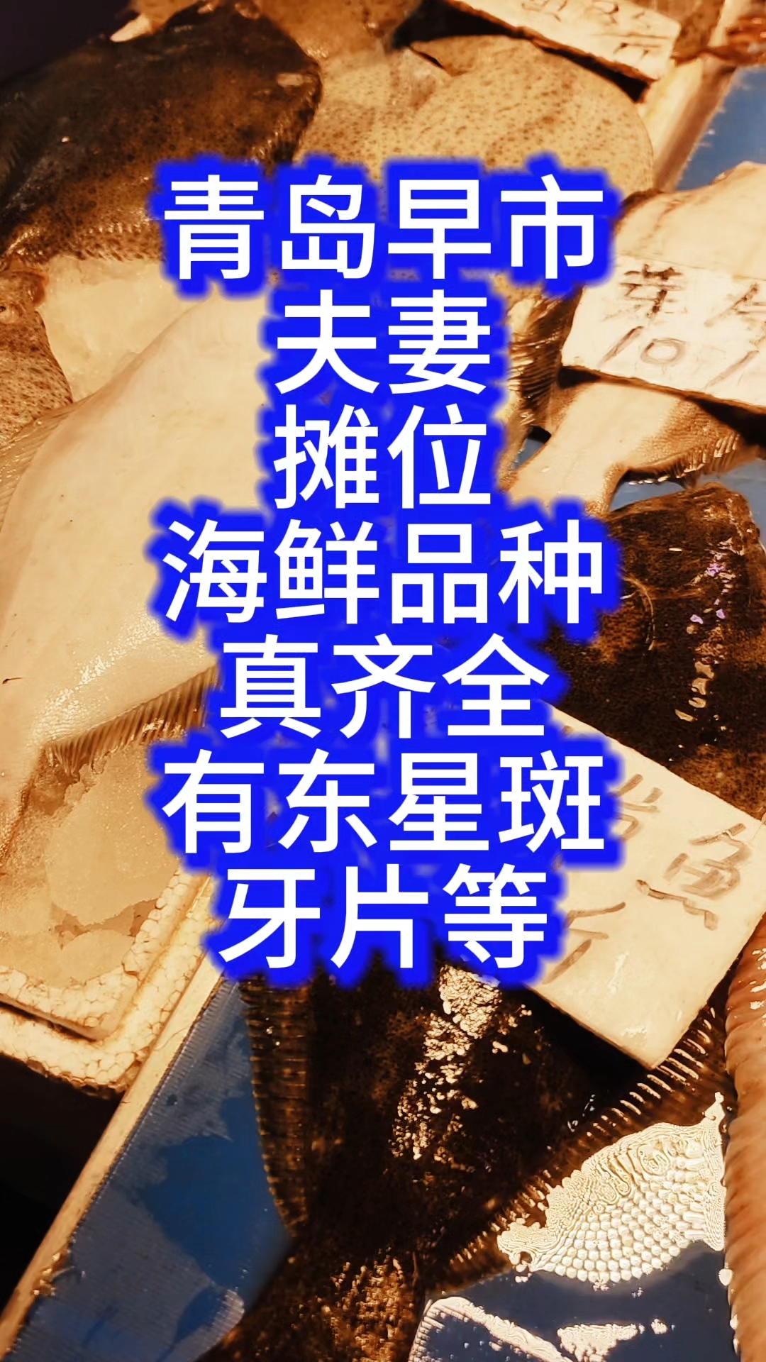 青岛早市,夫妻摊位,海鲜品种真齐全,有东星斑、牙片鱼等