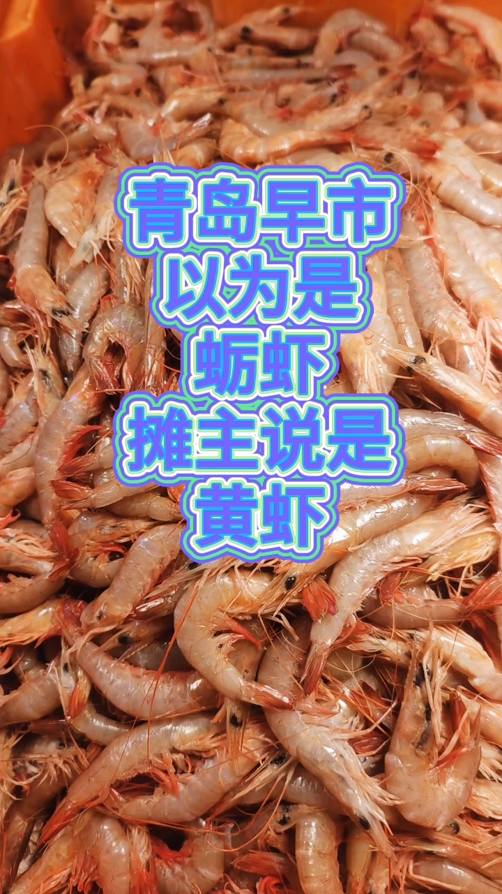 青岛早市,以为是蛎虾,摊主说是黄虾,30元一斤