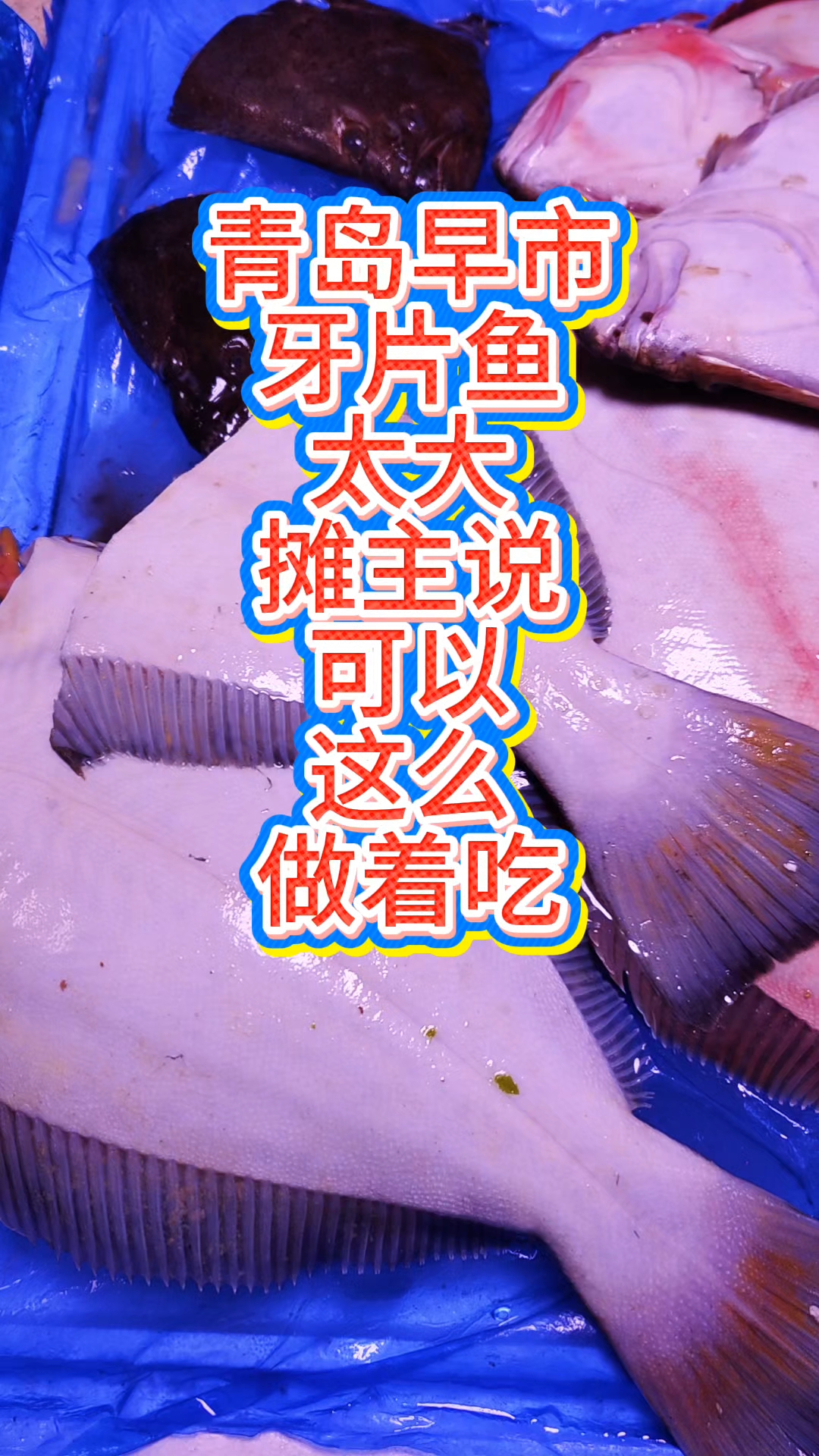 青岛早市，牙片鱼个头大，摊主称一鱼可两吃，鱼头鱼尾红烧，鱼身清蒸#优质视频激励计划#