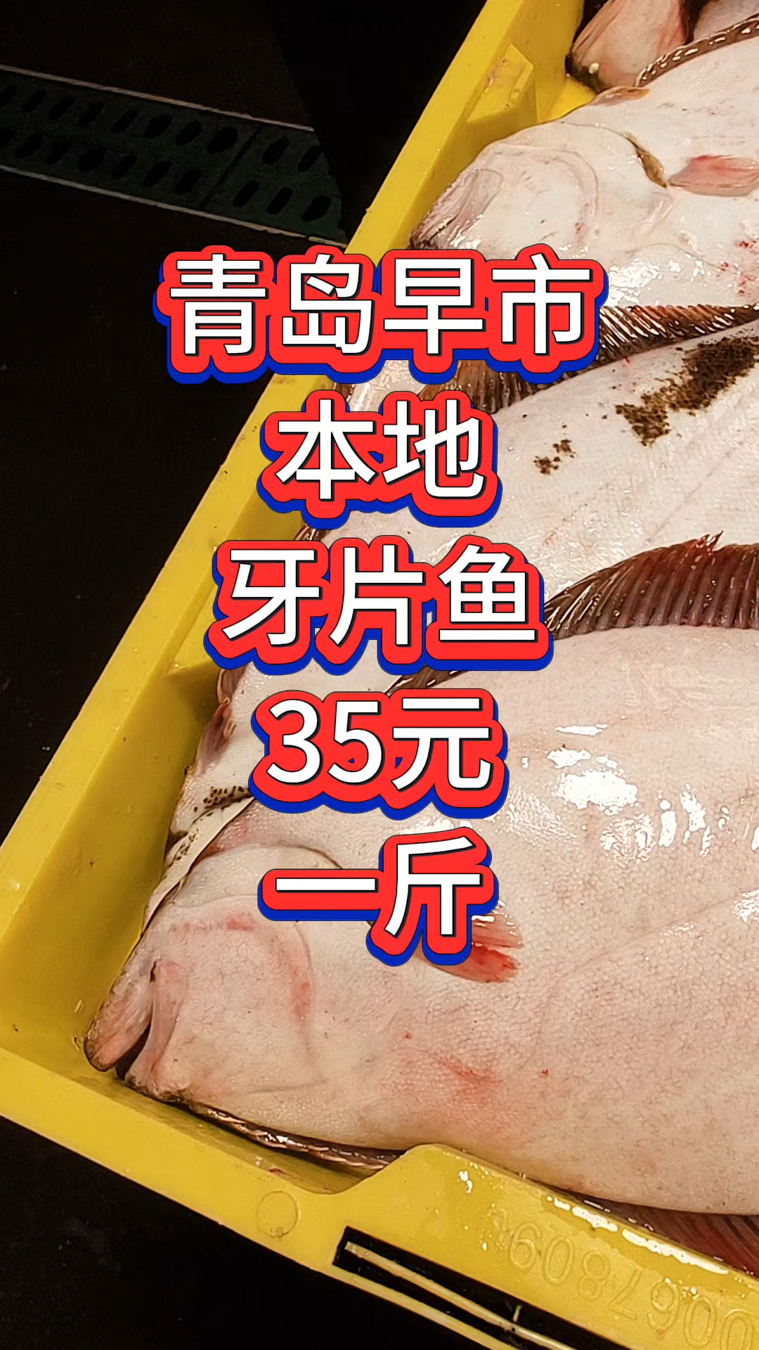 青岛早市，本地牙片鱼，35元一斤