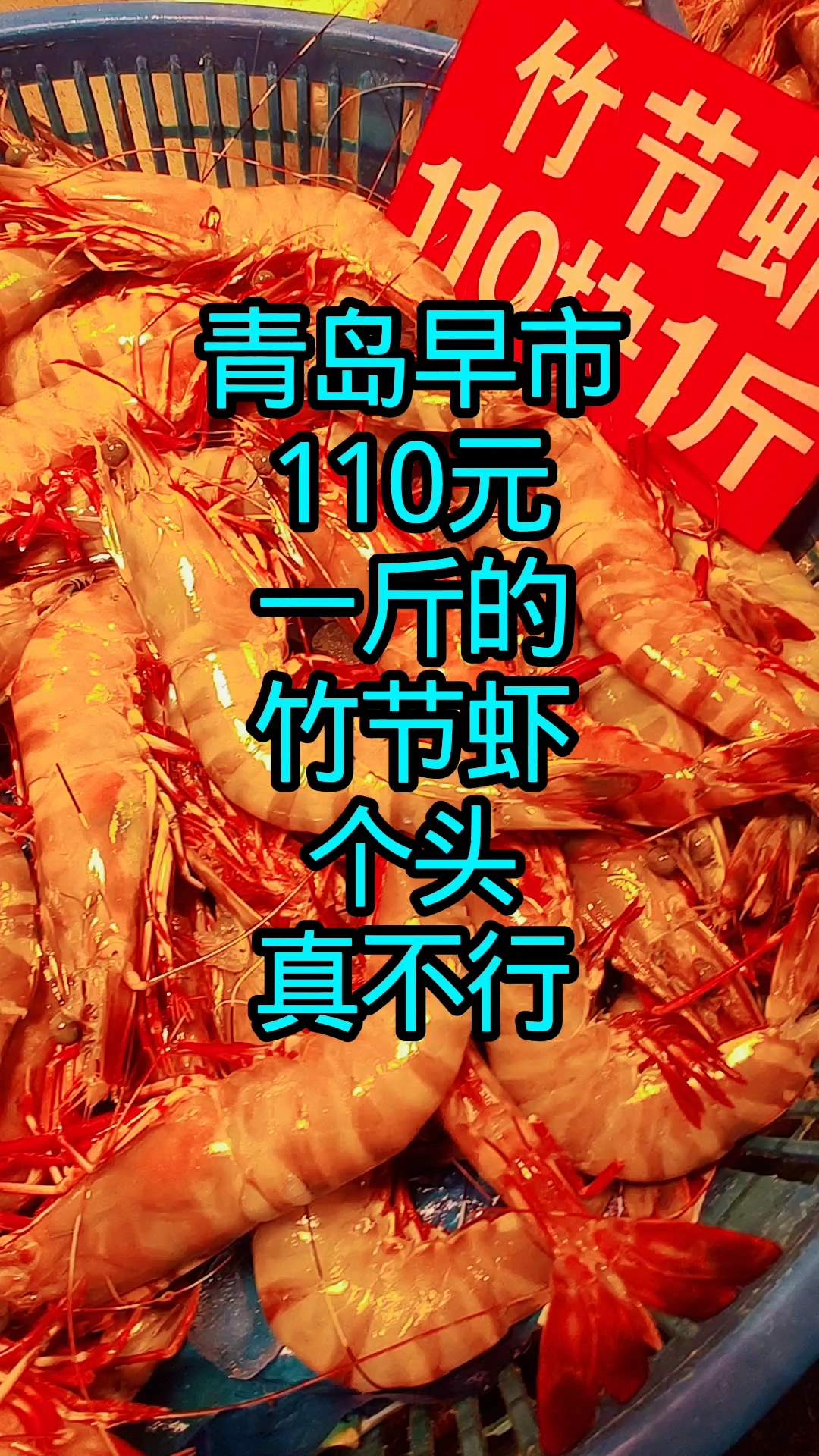 青岛早市,110元一斤的竹节虾,个头真不小