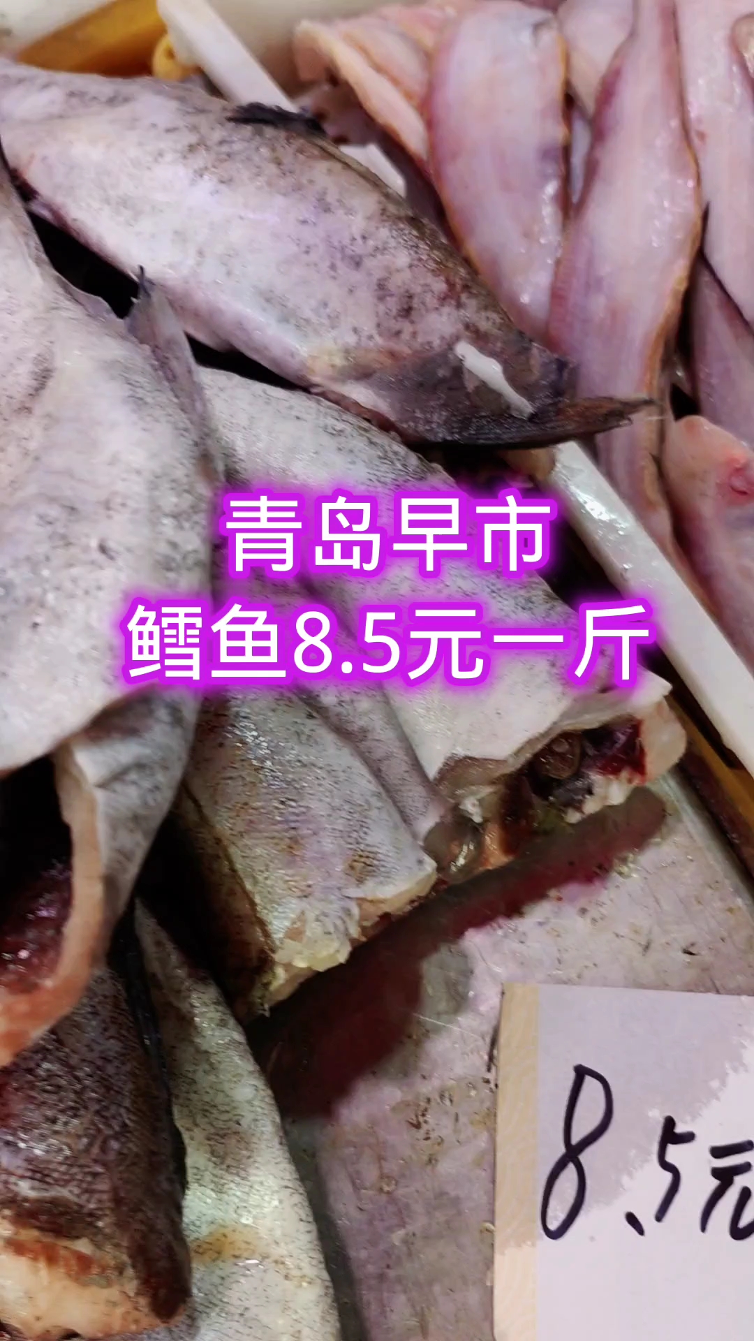 青岛早市,鳕鱼便宜,8.5元一斤