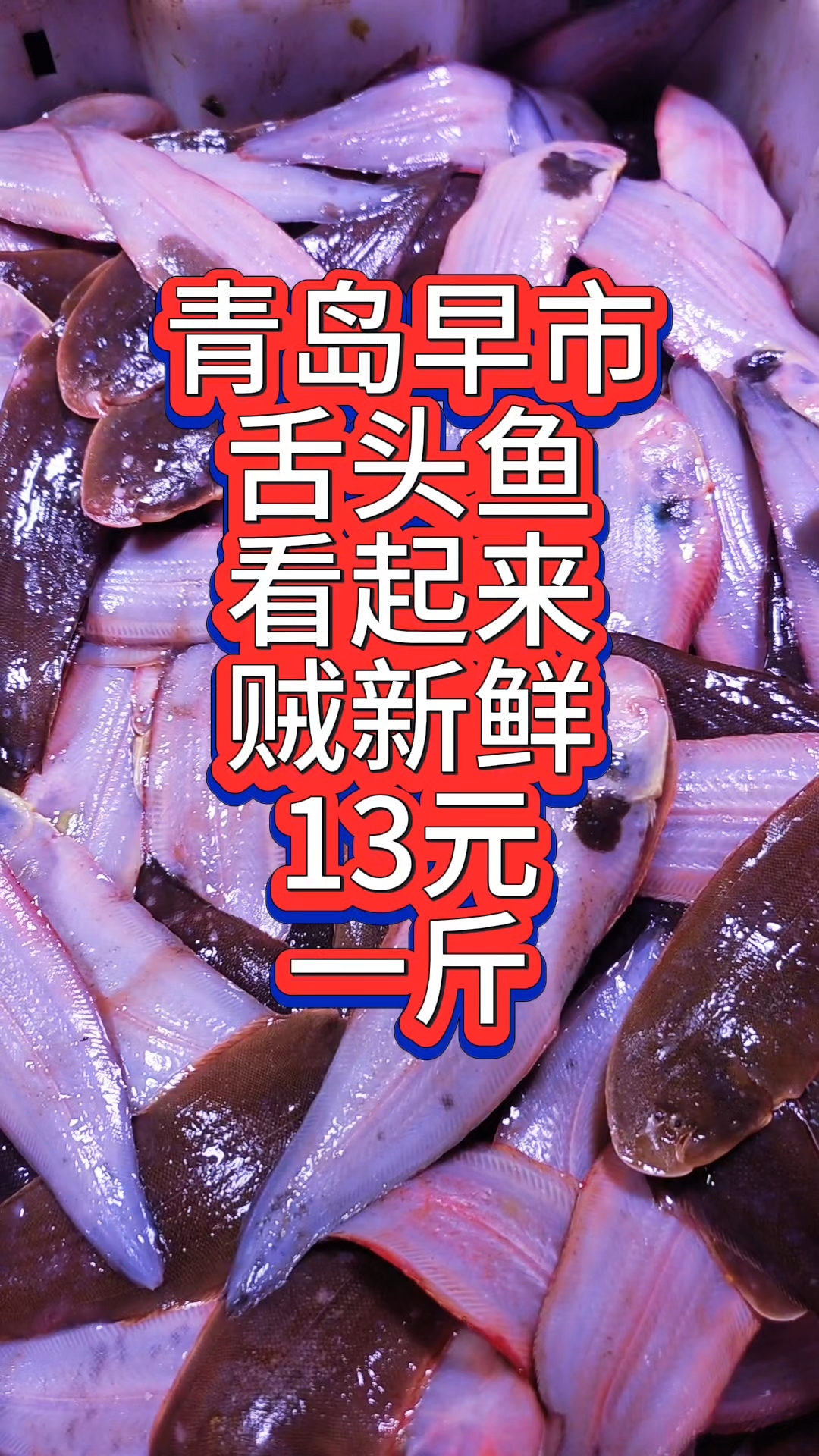 青岛早市，舌头鱼看起来贼新鲜，13元一斤
